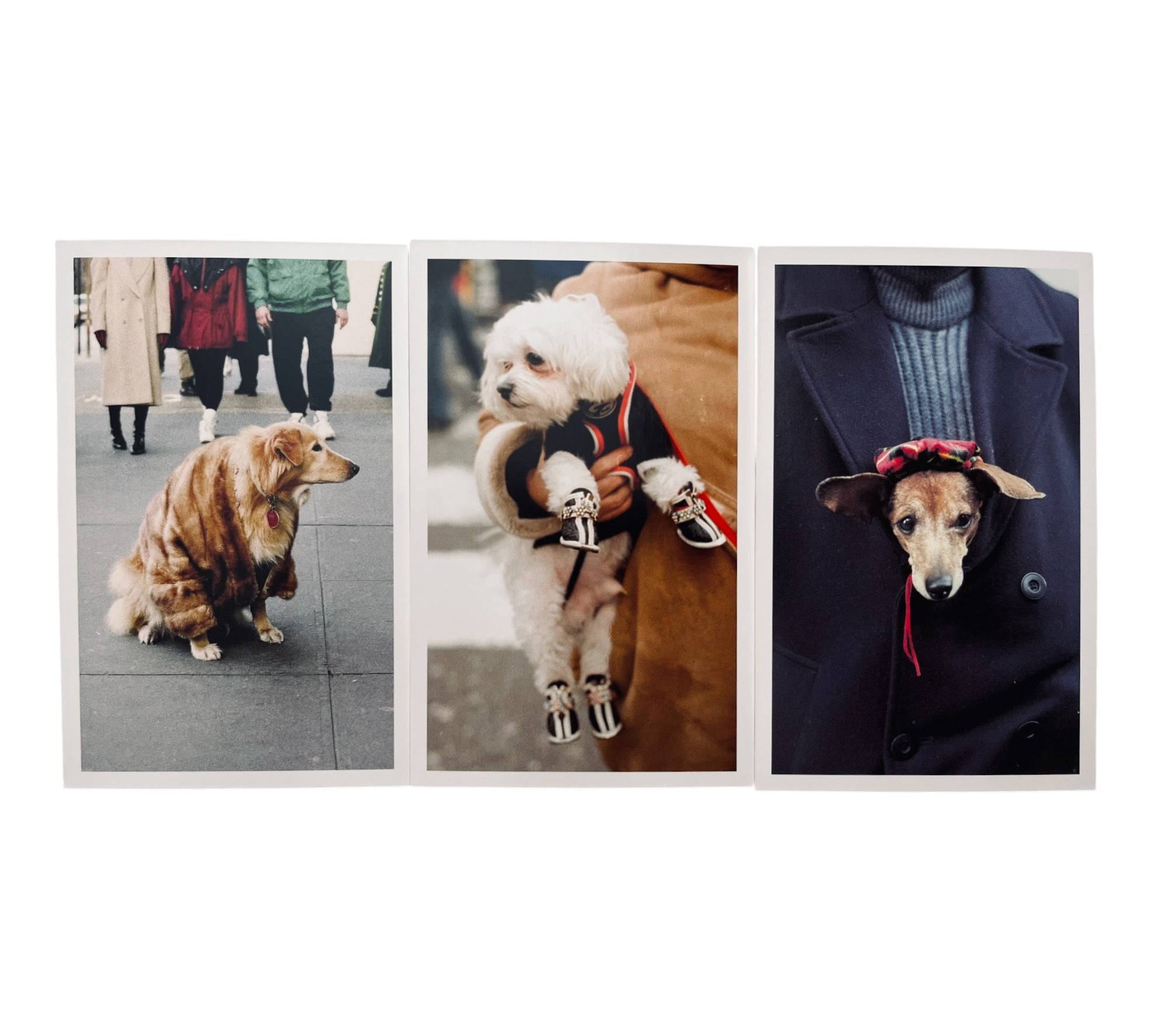Bill Cunningham: Details from the Street (100 Postcards)