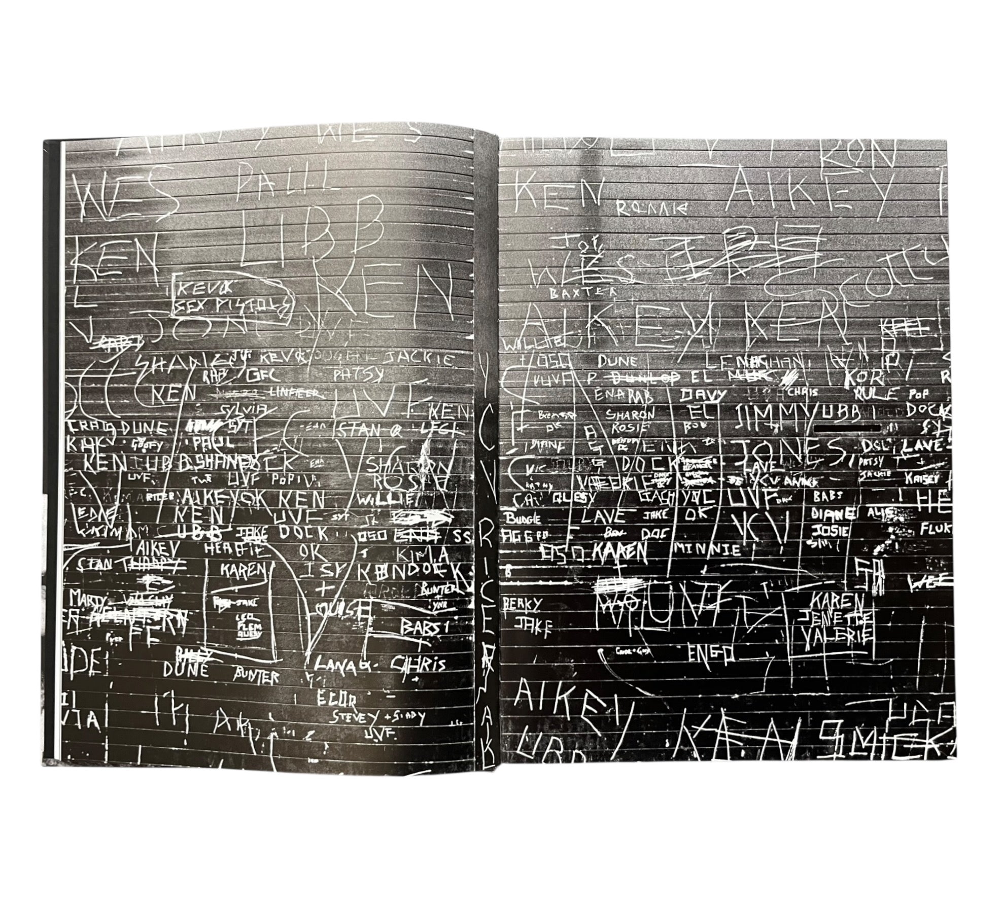 Syd Shelton: Rock Against Racism 1976–1981