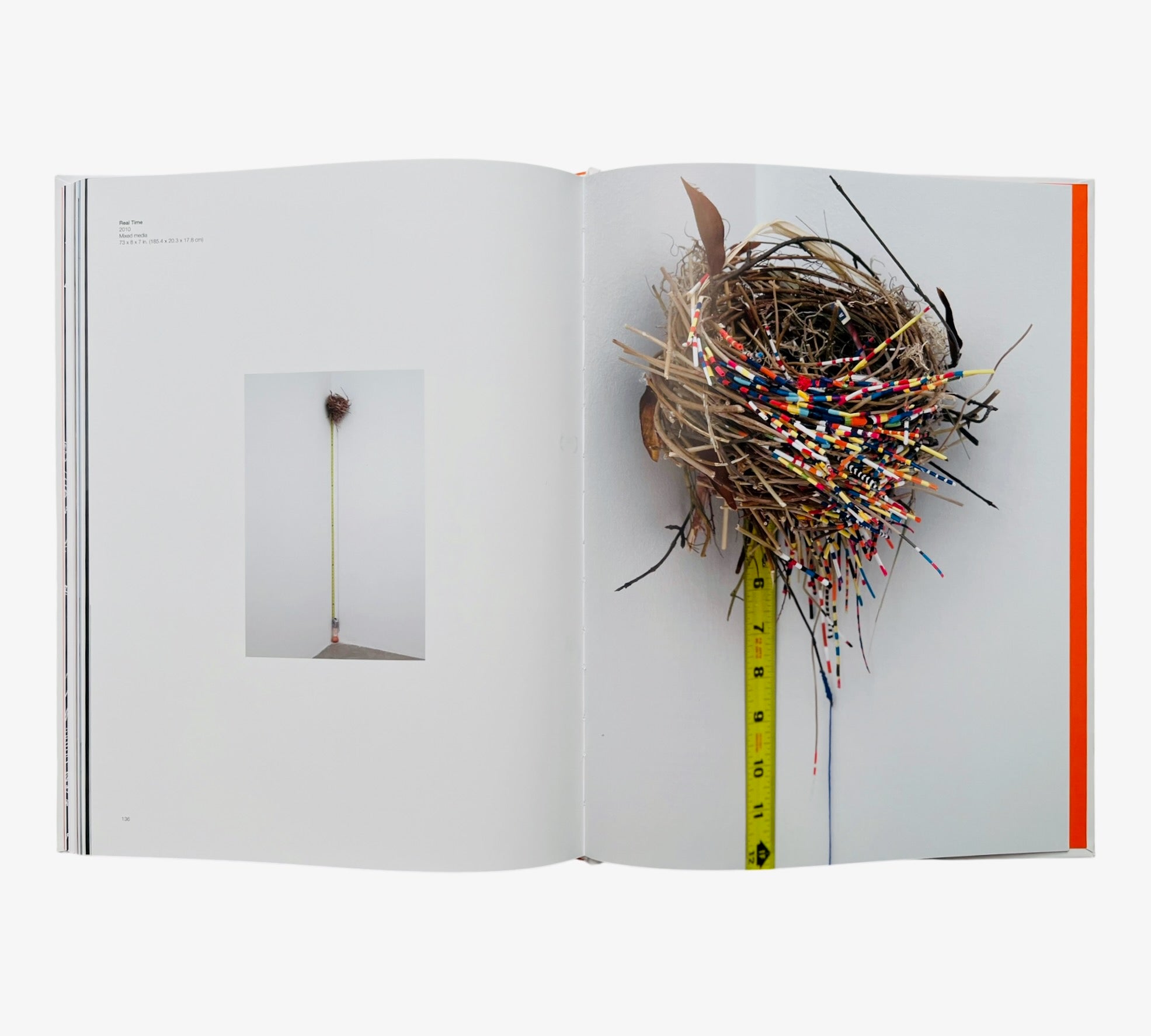 Sarah Sze: Infinite Line