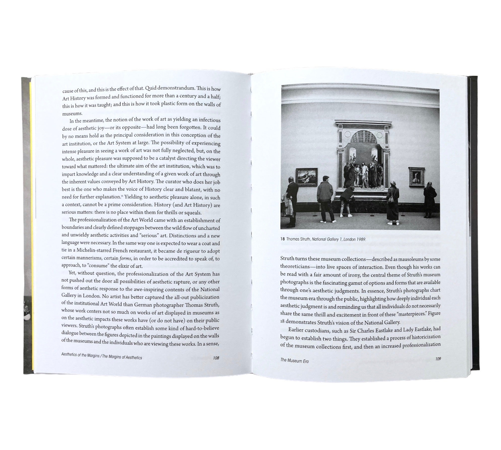 Aesthetics of the Margins / The Margins of Aesthetics: Wild Art Explained (Non-mint)