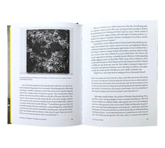 Aesthetics of the Margins / The Margins of Aesthetics: Wild Art Explained (Non-mint)