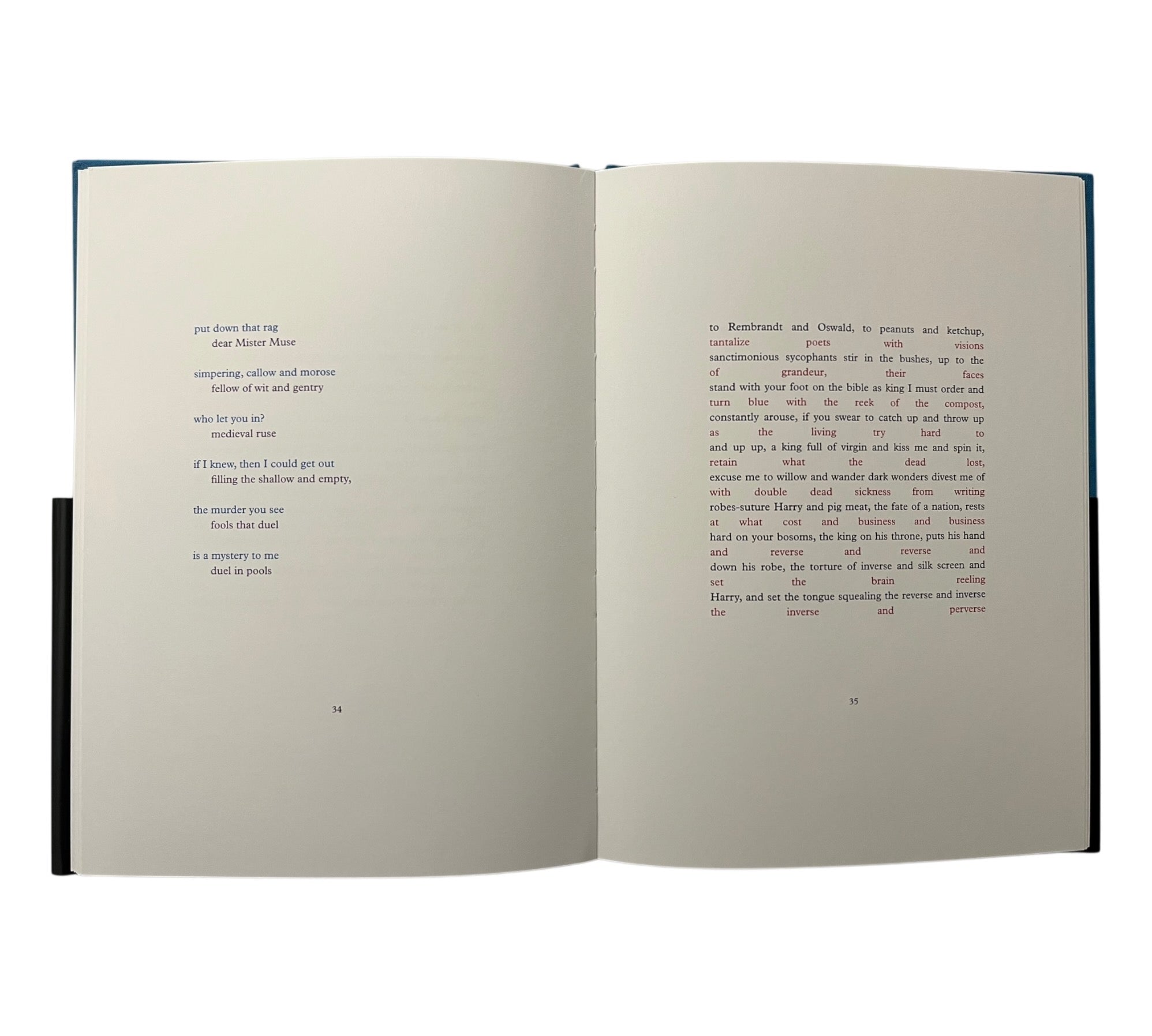 Do Angels Need Haircuts?: Early Poems by Lou Reed