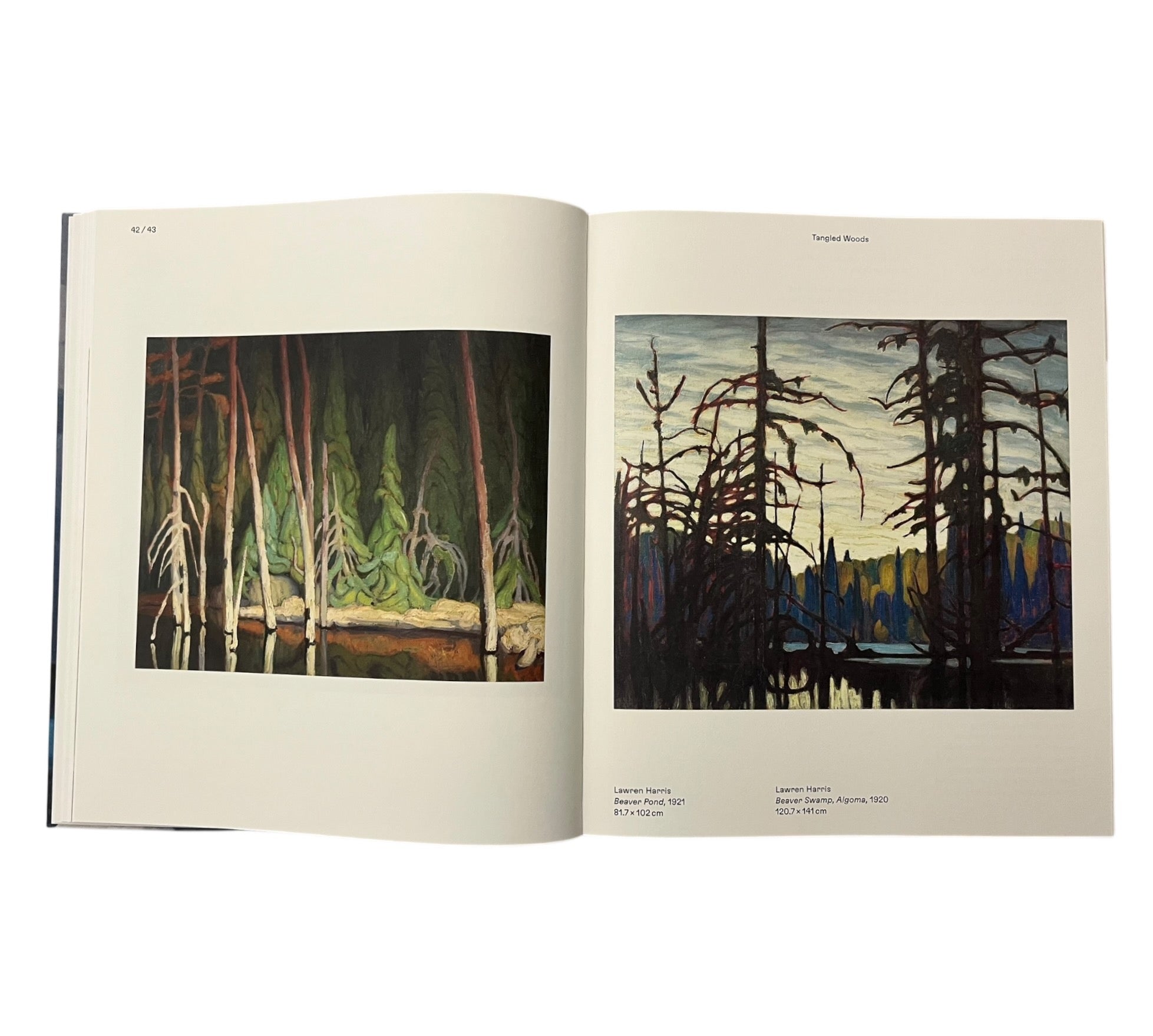 Magnetic North: Imagining Canada in Painting 1910-1940
