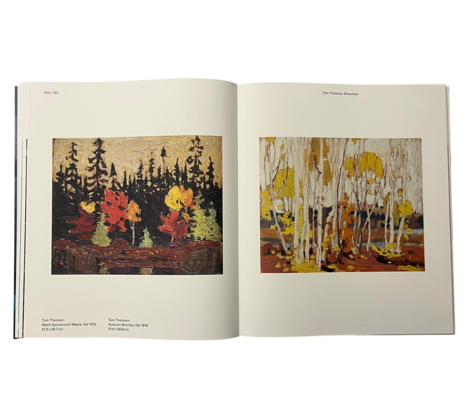 Magnetic North: Imagining Canada in Painting 1910-1940