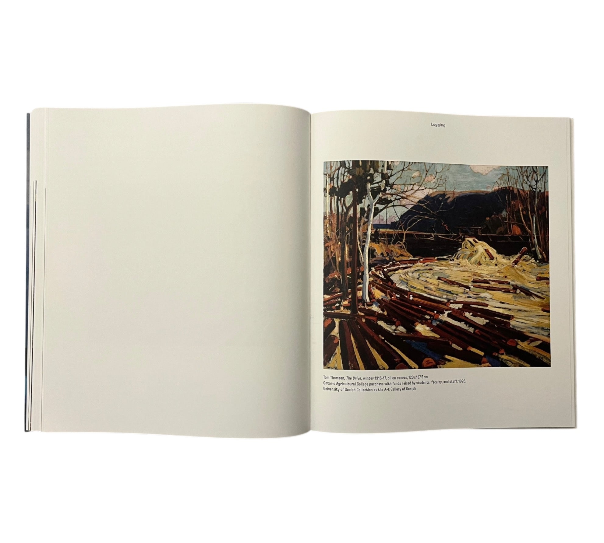 Magnetic North: Imagining Canada in Painting 1910-1940