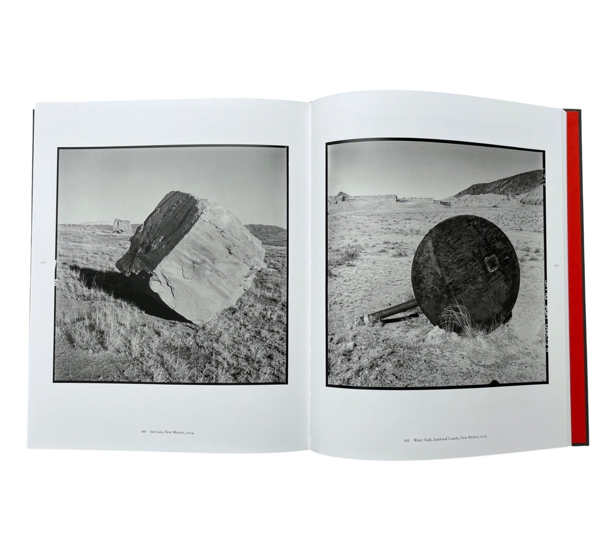 Danny Lyon: Message to the Future