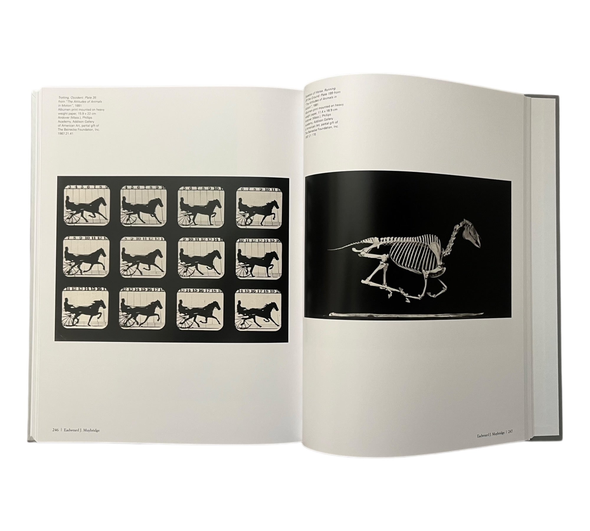 Photography: A History 1839-Now (4-volume set)