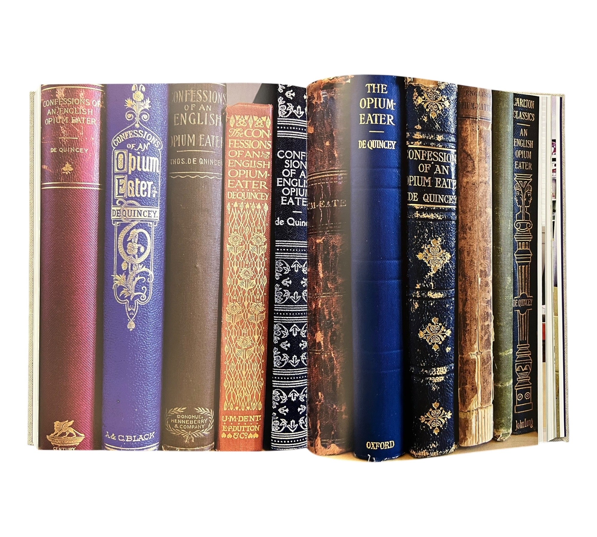 Altered States: The Library of Julio Santo Domingo