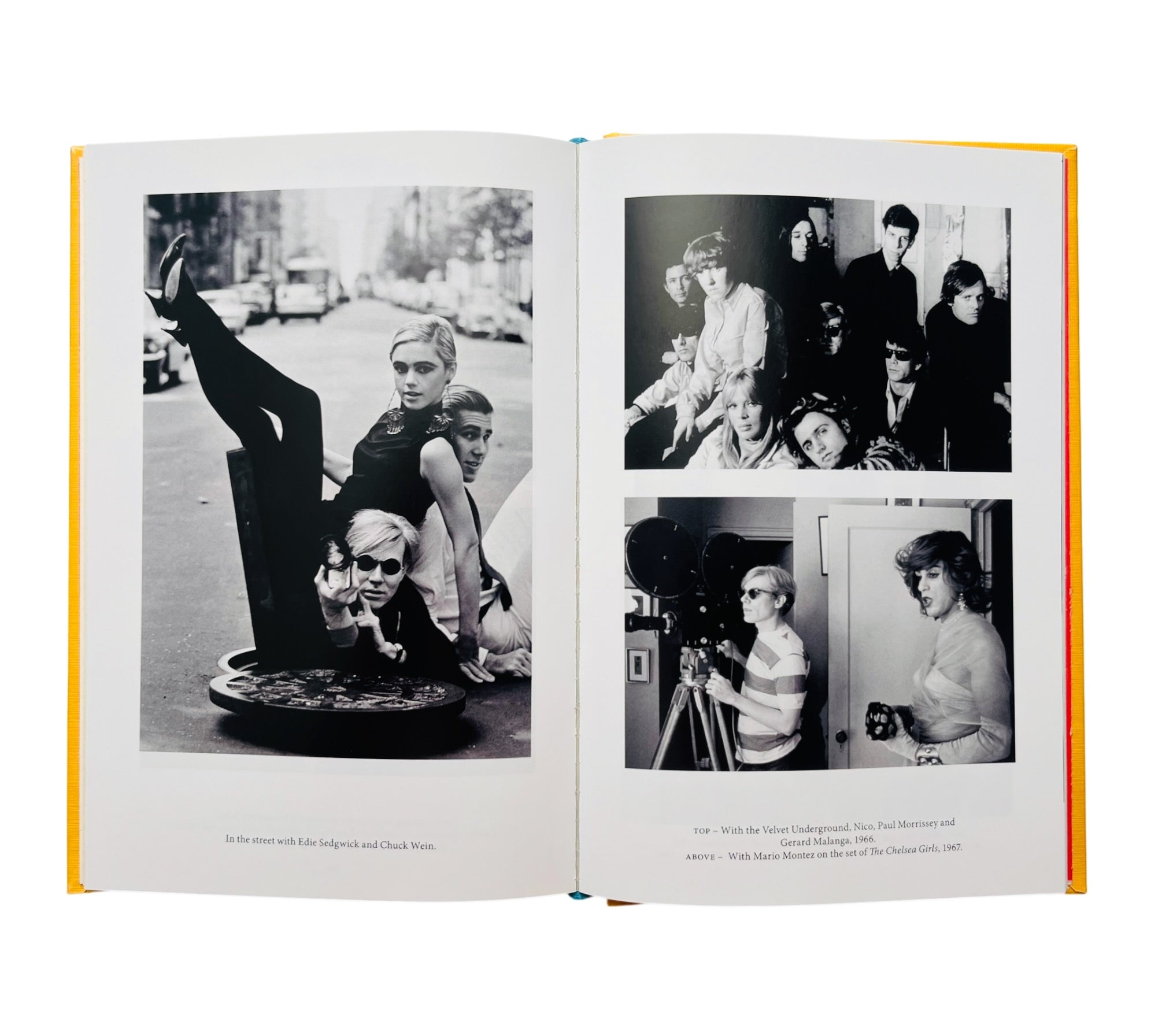 Andy Warhol (Lives of the Artists)