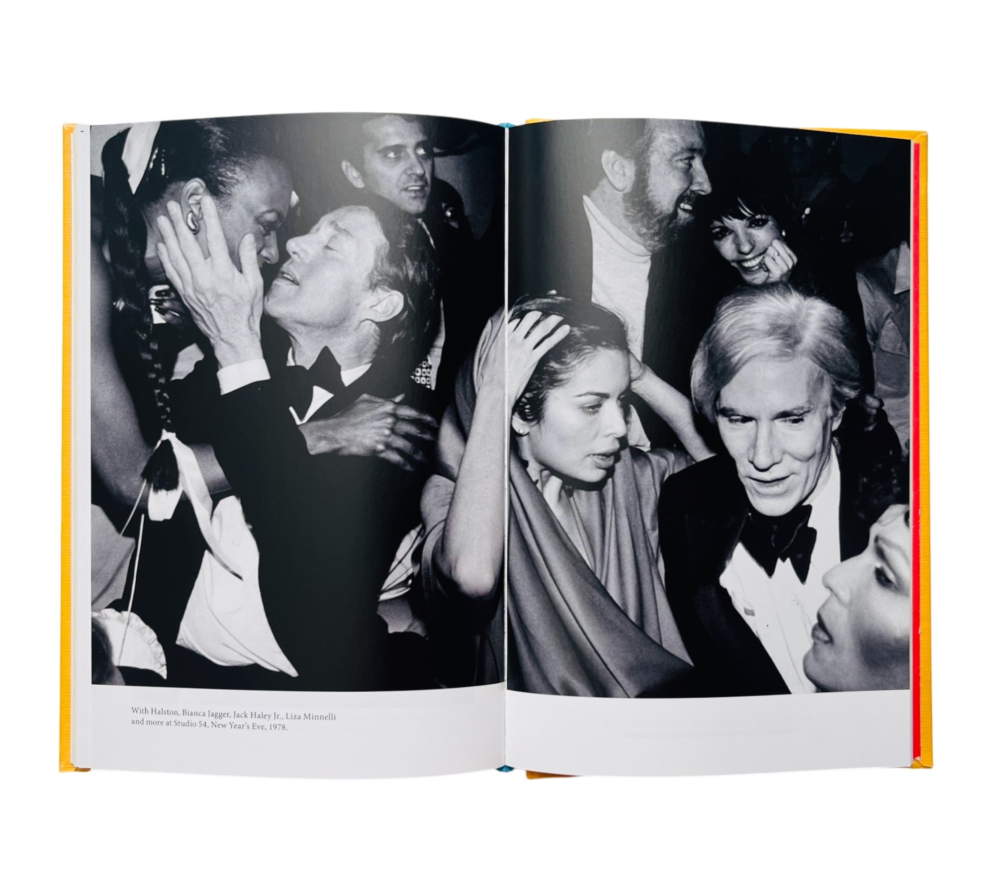 Andy Warhol (Lives of the Artists)