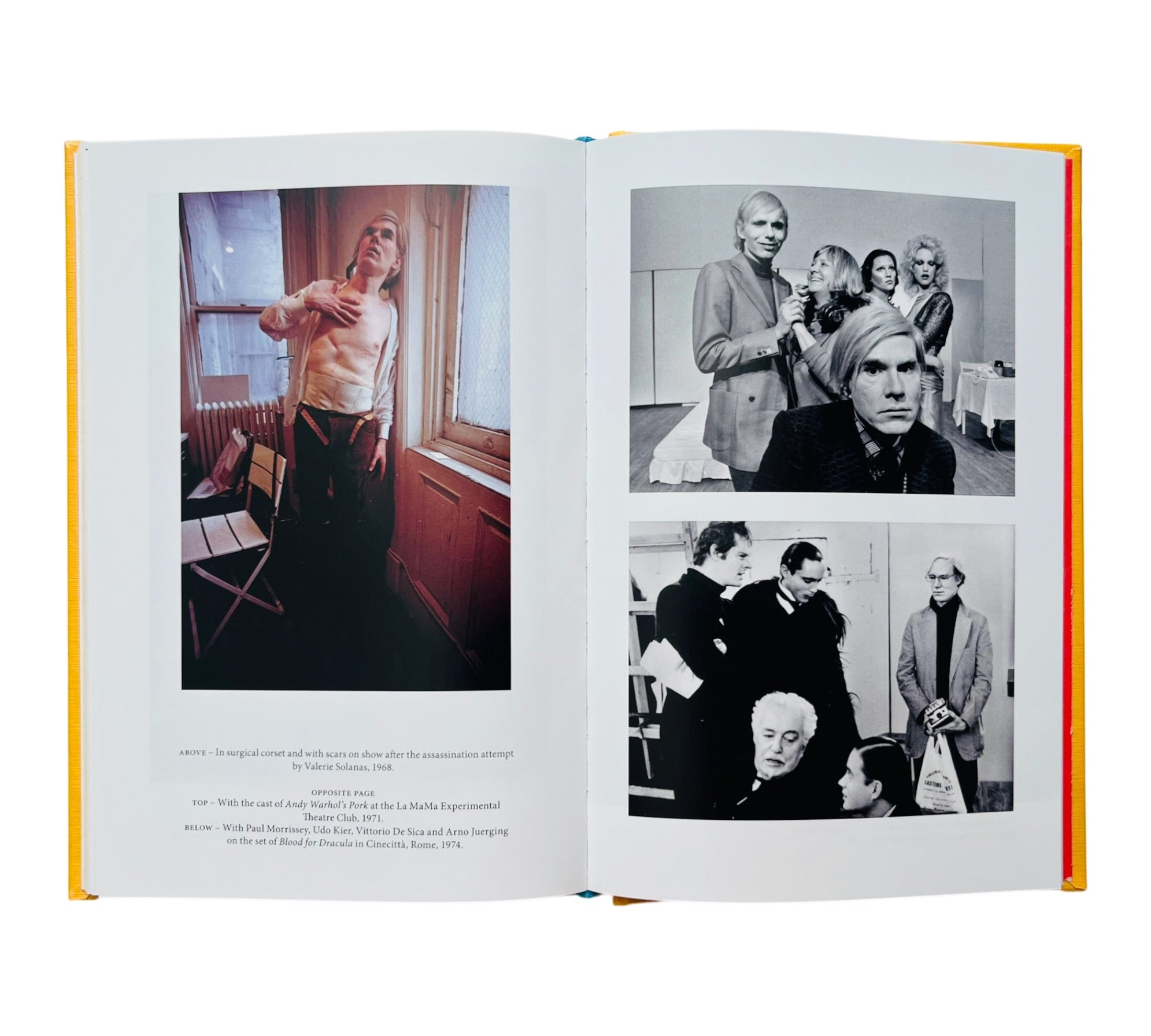 Andy Warhol (Lives of the Artists)
