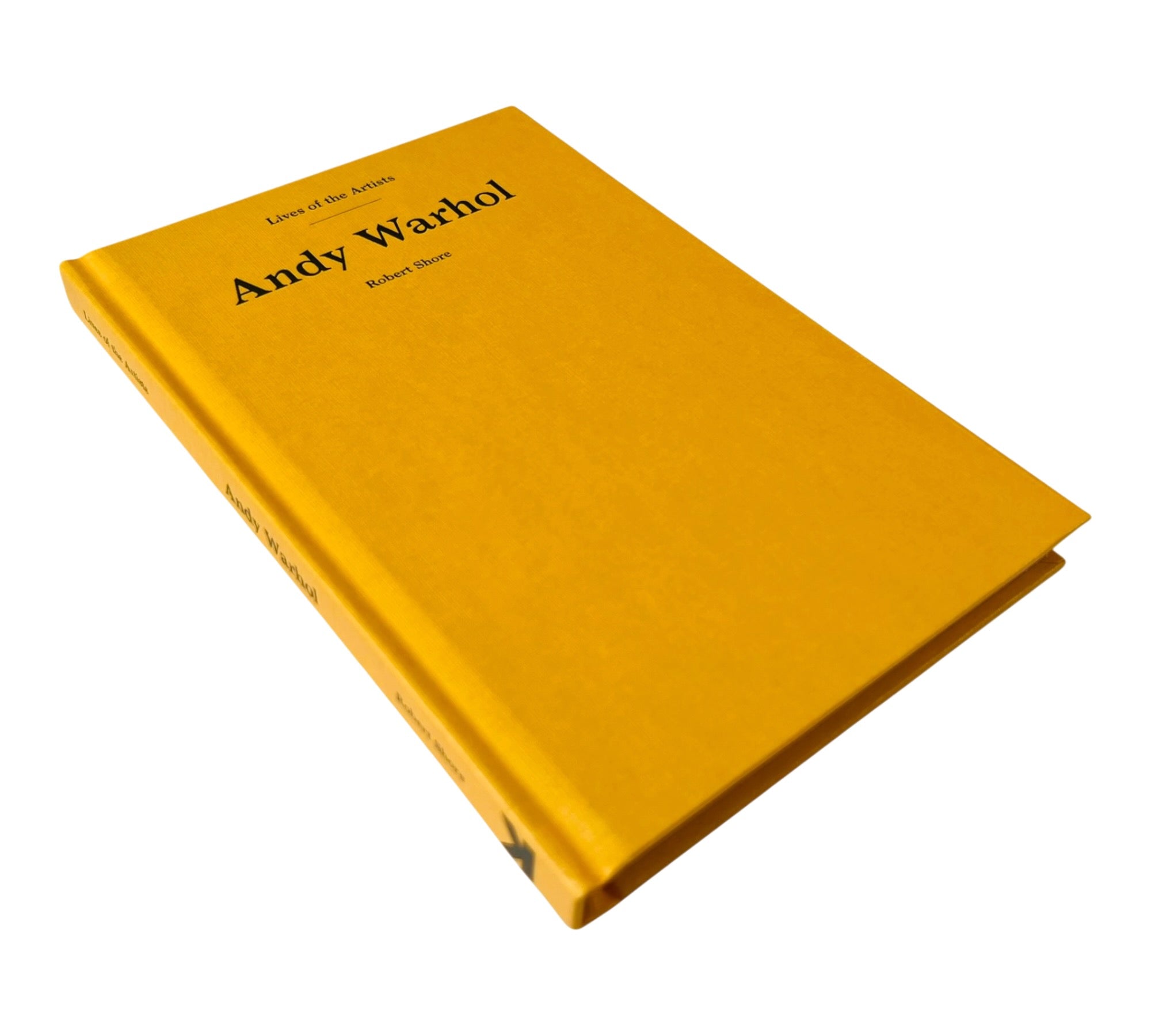 Andy Warhol (Lives of the Artists)