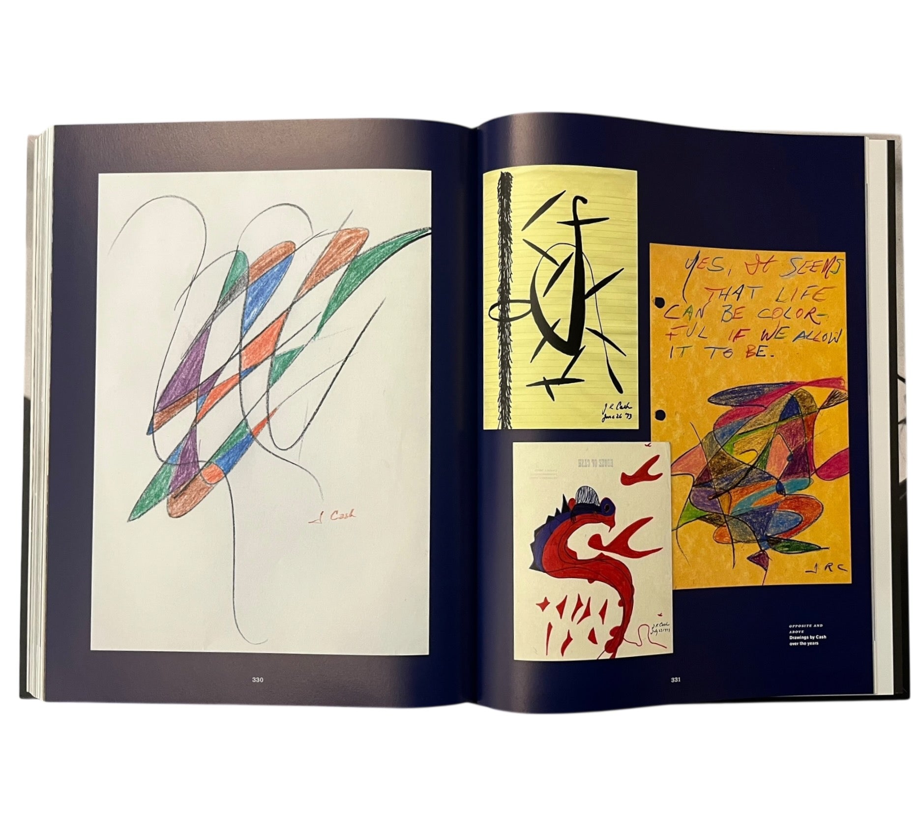 Johnny Cash: The Life in Lyrics