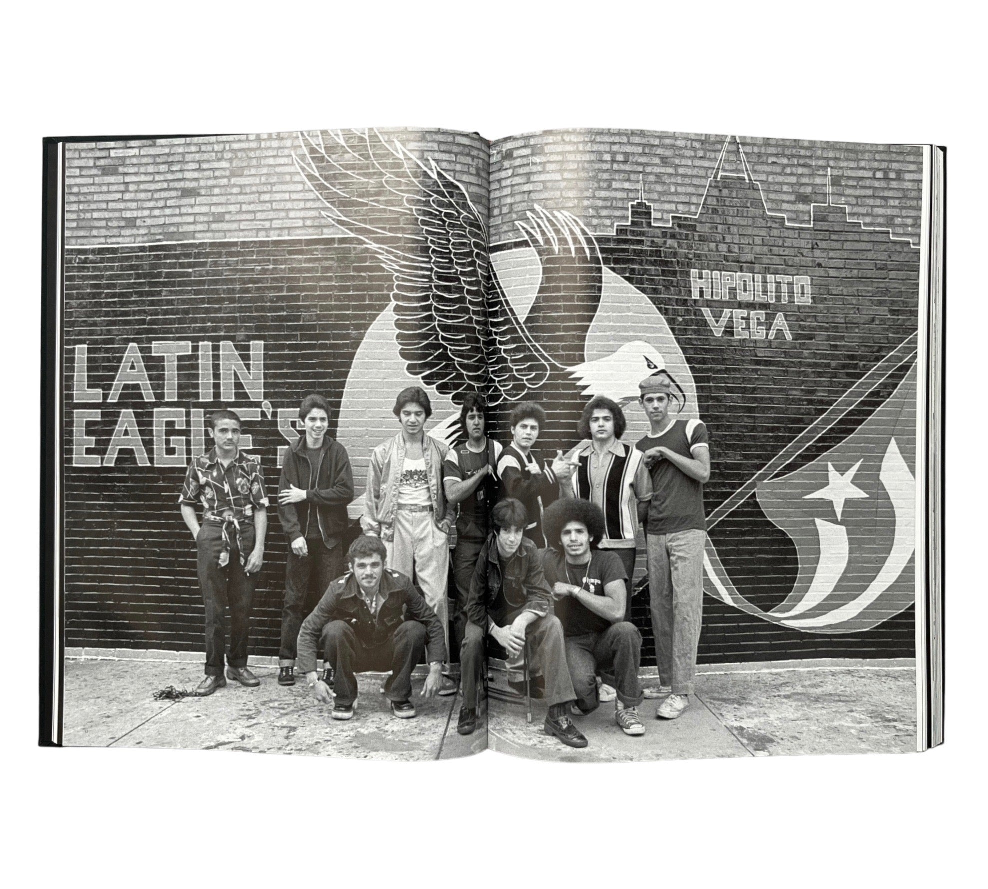 Uptown: Portrait of a Chicago Neighborhood In the mid-1970s (Non-mint)