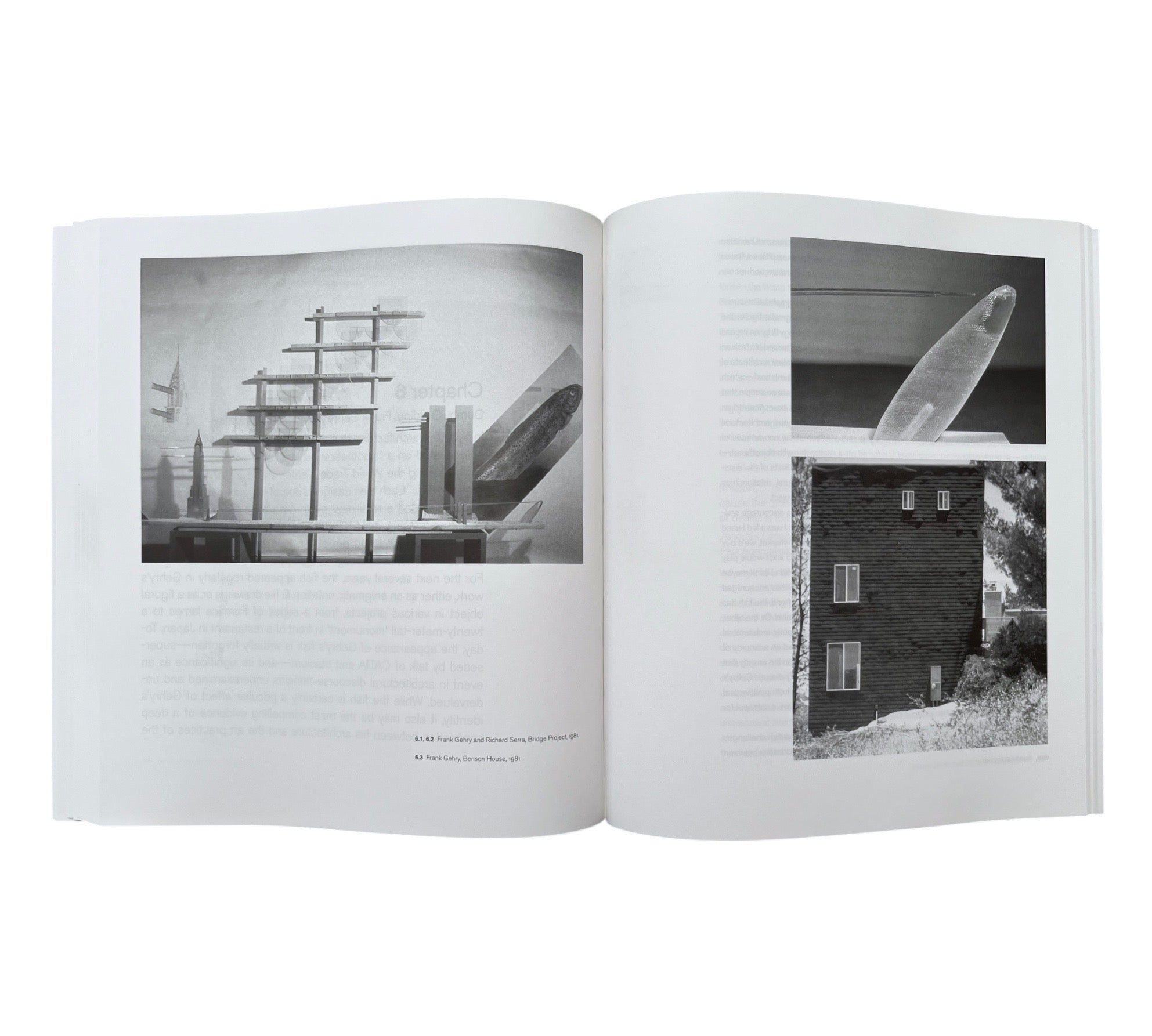 Nothing Less Than Literal: Architecture after Minimalism