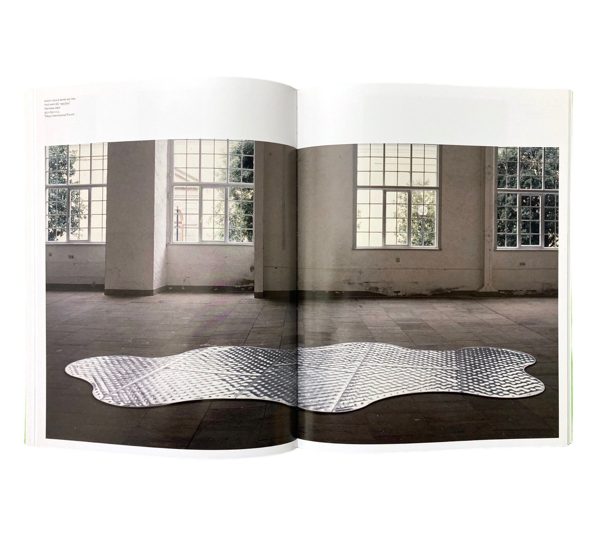Richard Deacon (Modern Artists series)
