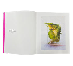 Marisa Culatto: Flora - A Frozen English Garden
