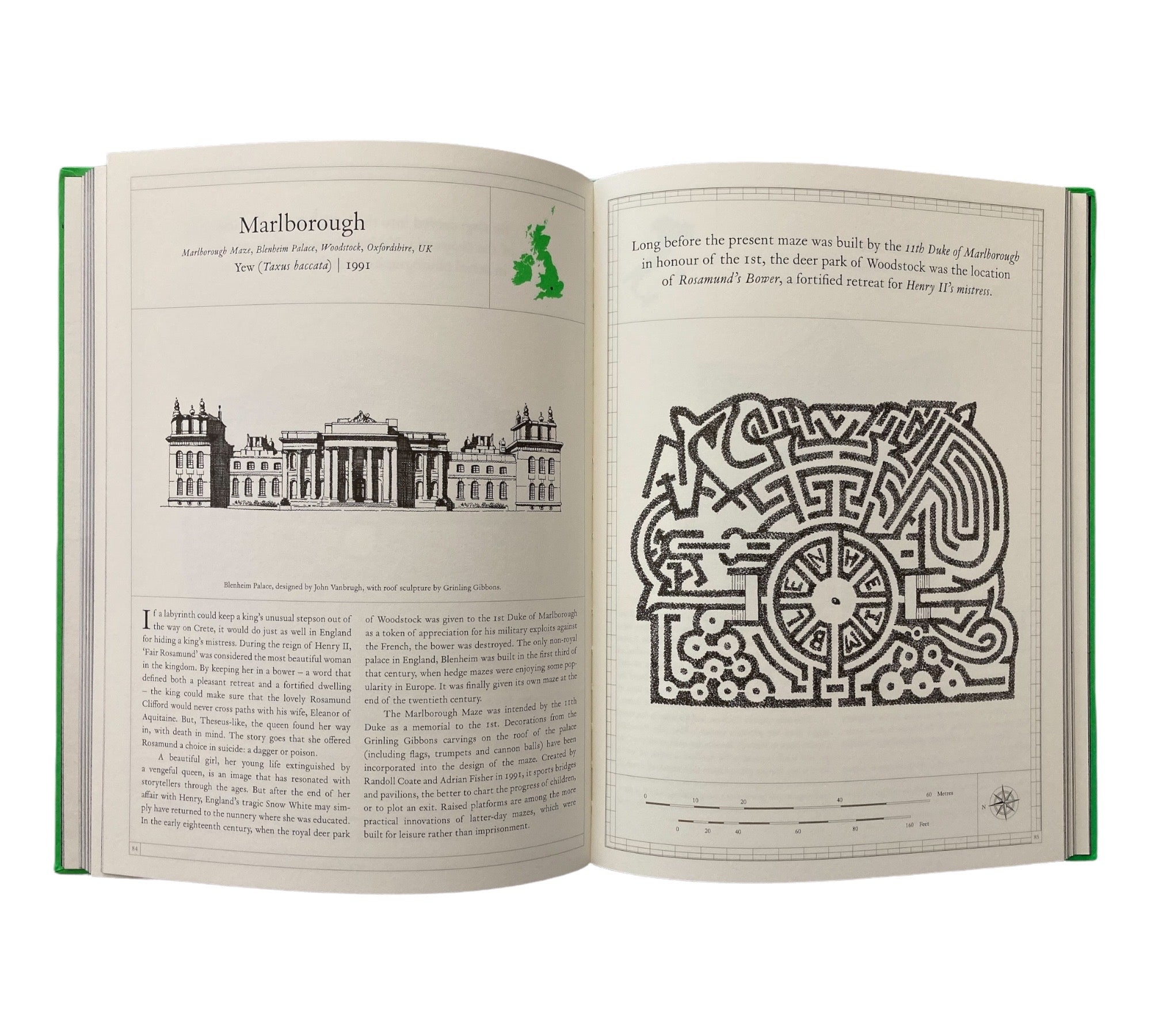 The Maze: A Labyrinthine Compendium (Non-mint)