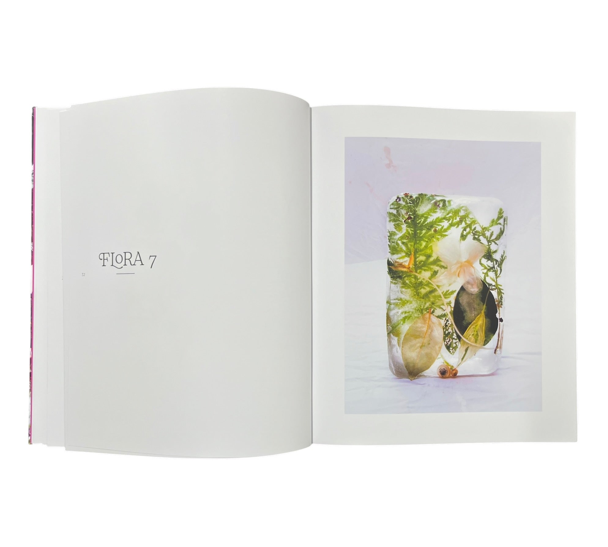 Marisa Culatto: Flora - A Frozen English Garden