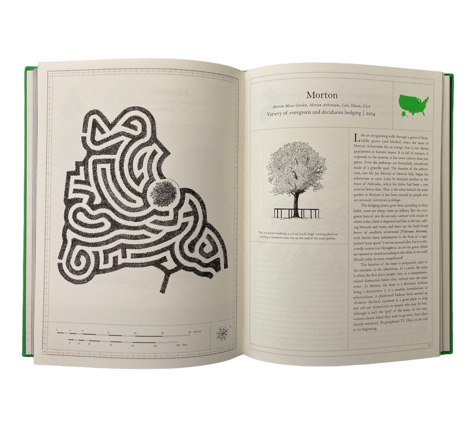 The Maze: A Labyrinthine Compendium (Non-mint)
