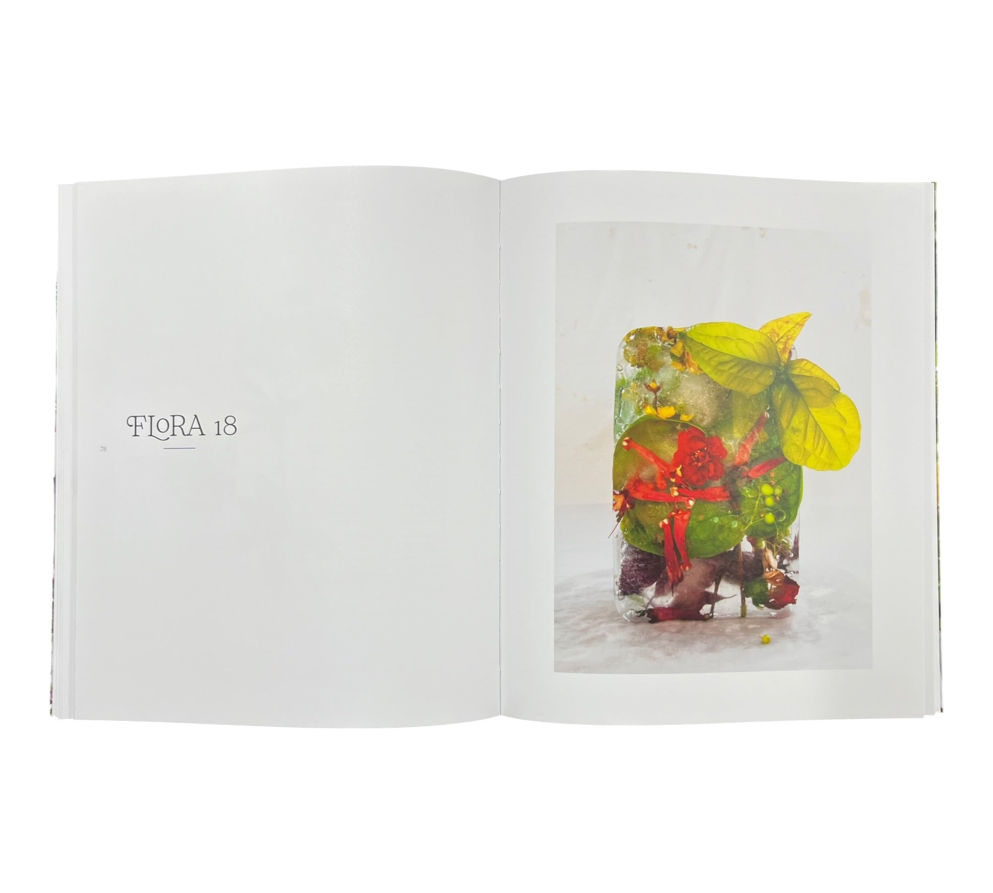 Marisa Culatto: Flora - A Frozen English Garden