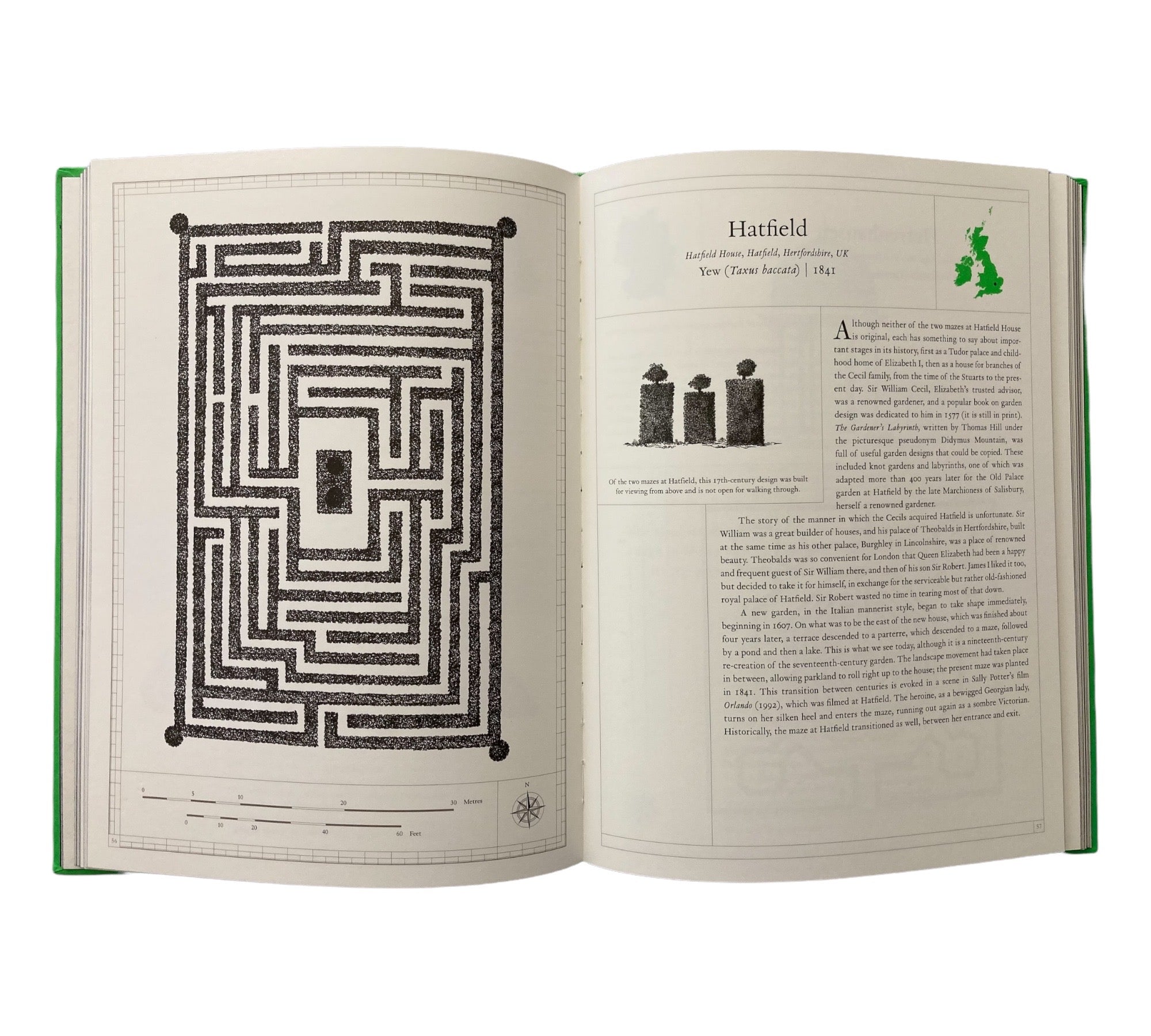 The Maze: A Labyrinthine Compendium (Non-mint)