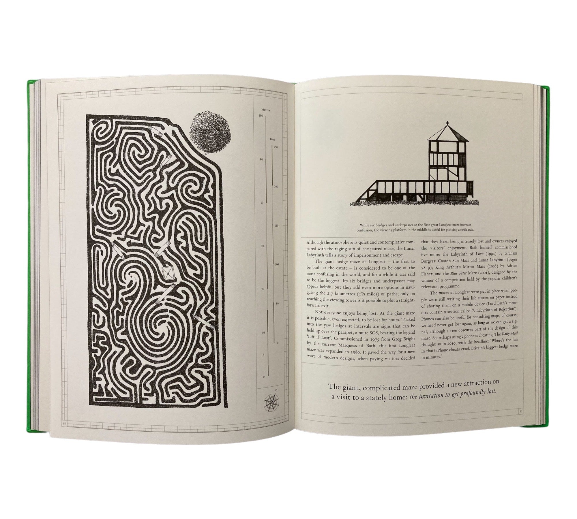 The Maze: A Labyrinthine Compendium (Non-mint)