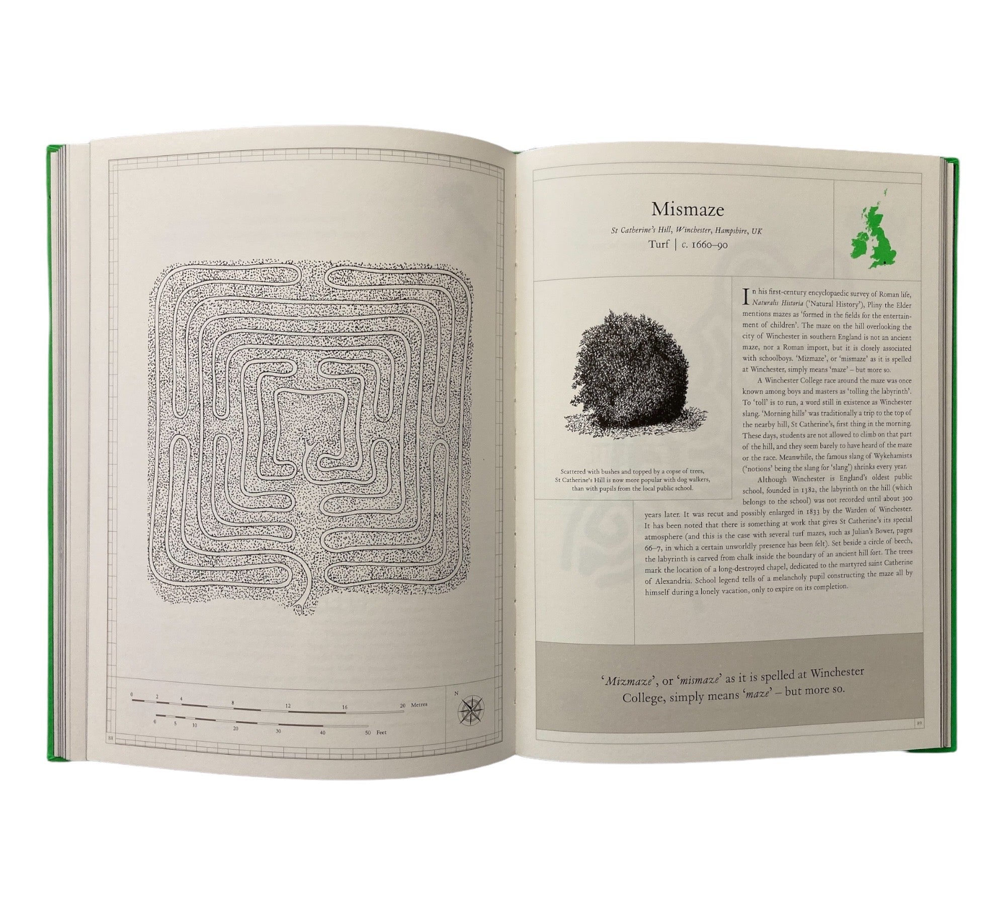 The Maze: A Labyrinthine Compendium (Non-mint)