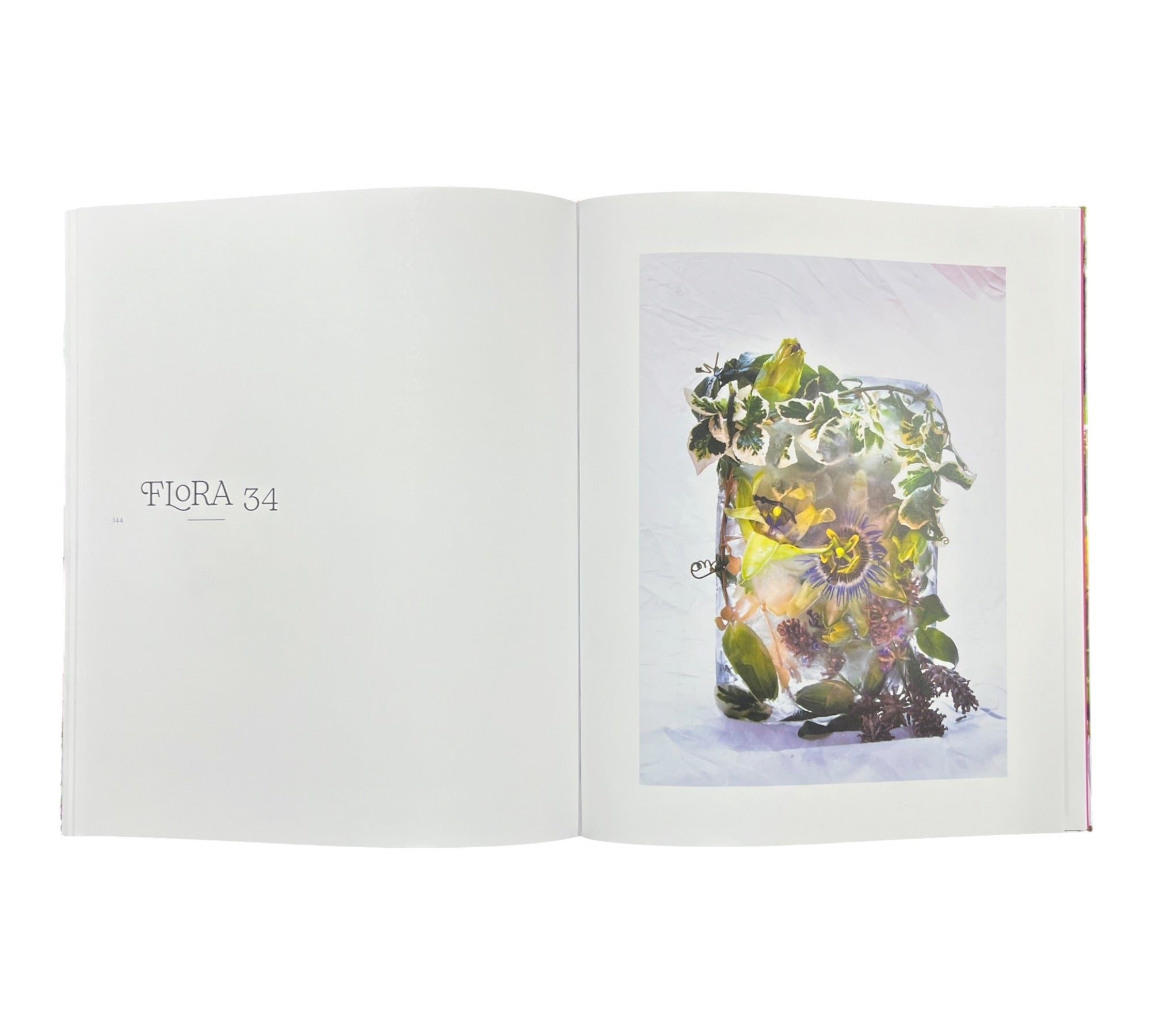 Marisa Culatto: Flora - A Frozen English Garden