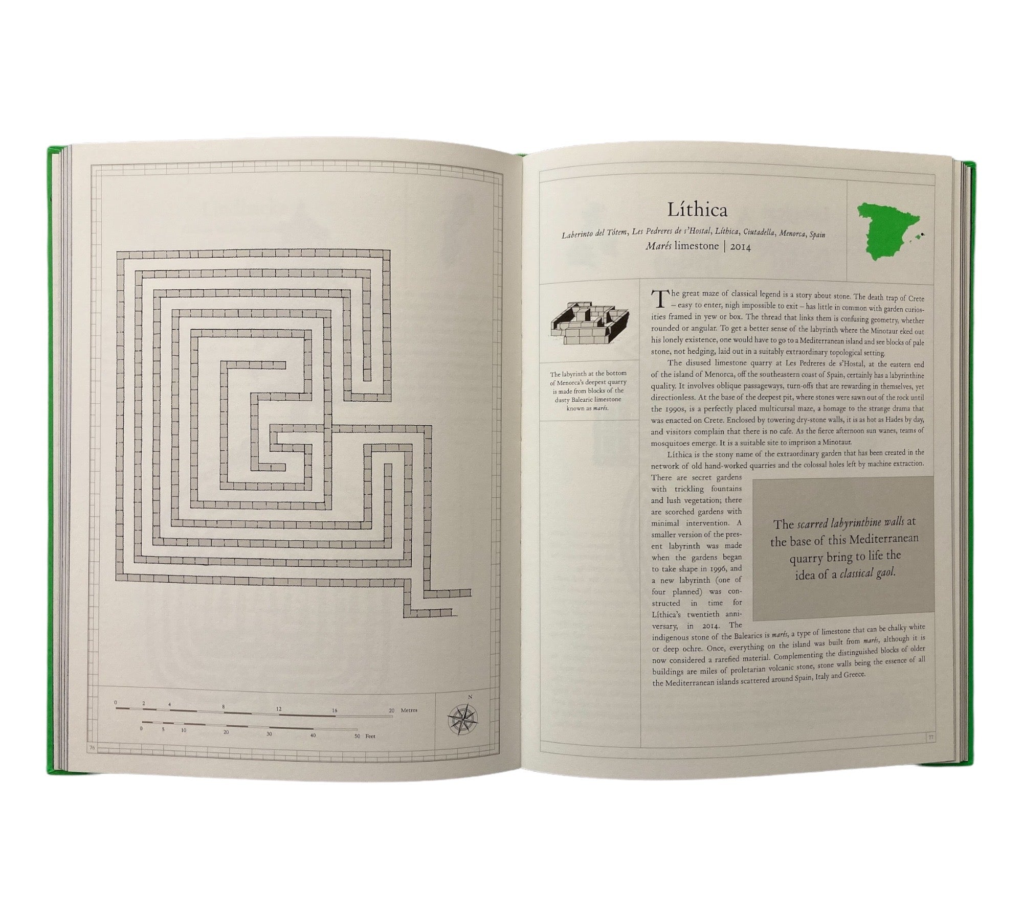 The Maze: A Labyrinthine Compendium (Non-mint)