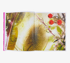 Marisa Culatto: Flora - A Frozen English Garden