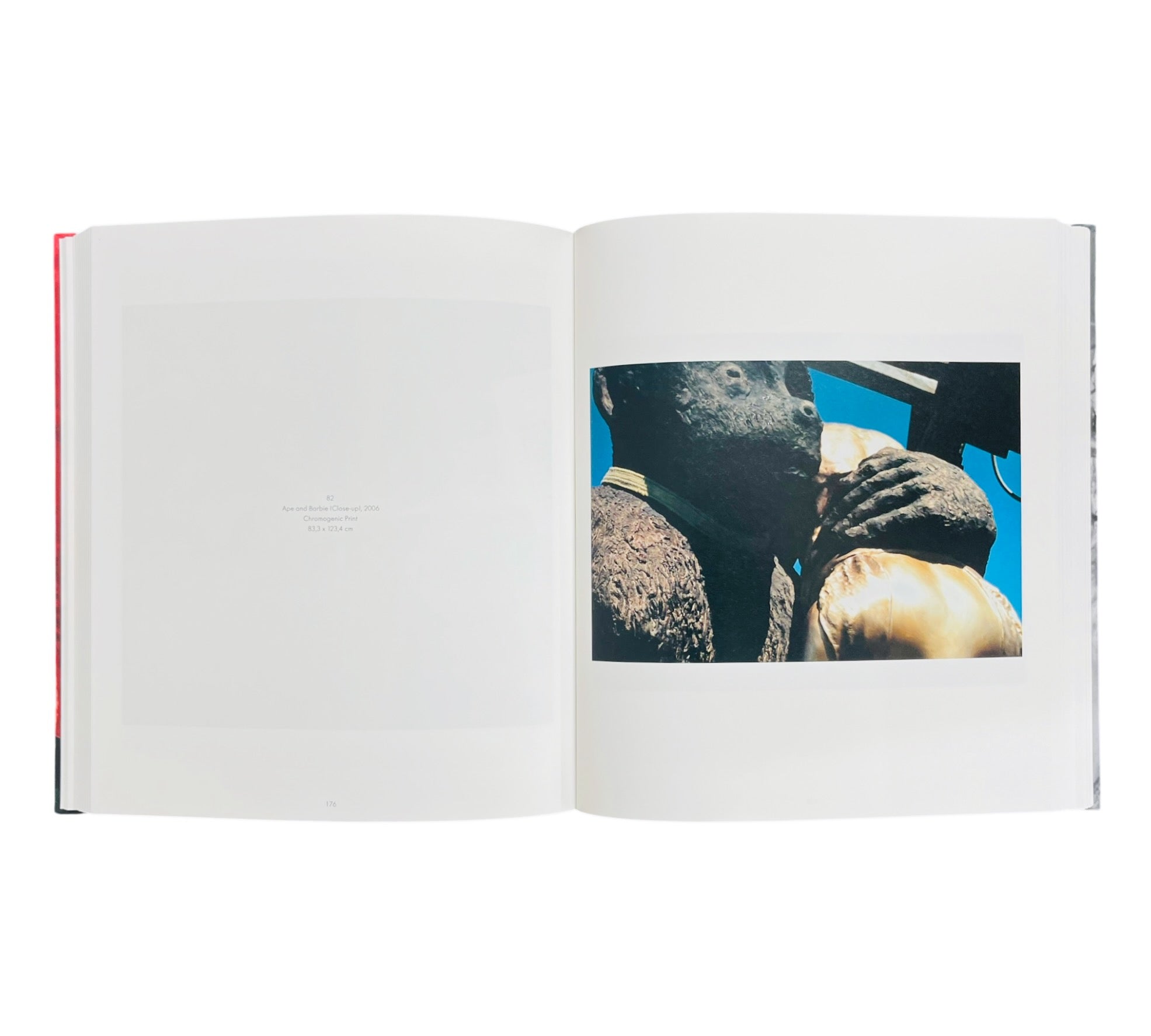 This is how I Remember Now: Portraits - Photographs by Jim Dine
