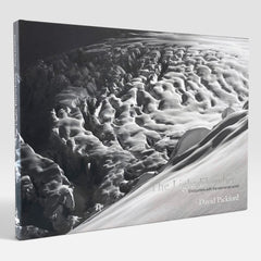 David Pickford: The Light Elsewhere - Encounters with the Elemental World