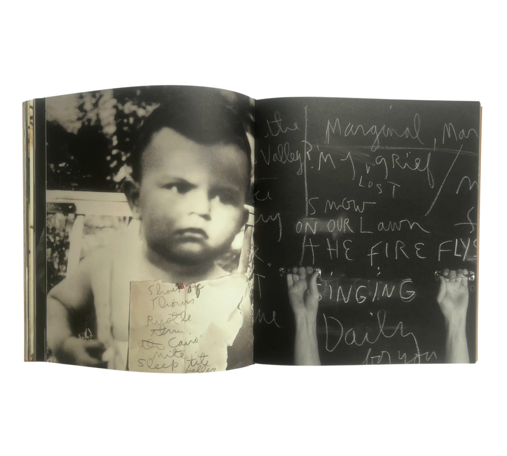 Jim Dine: This Goofy Life Of Constant Mourning (Rare edition)