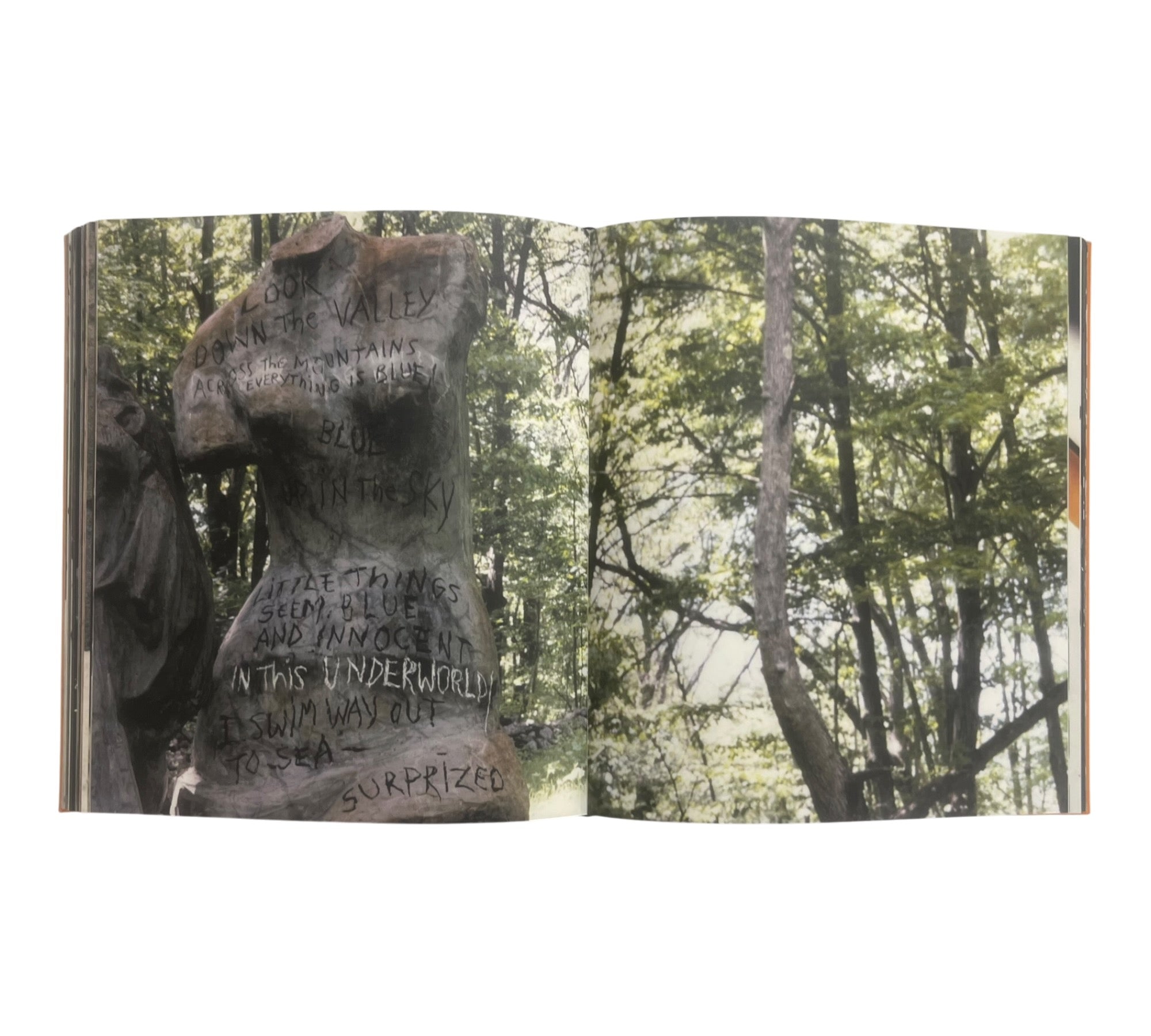 Jim Dine: This Goofy Life Of Constant Mourning (Rare edition)
