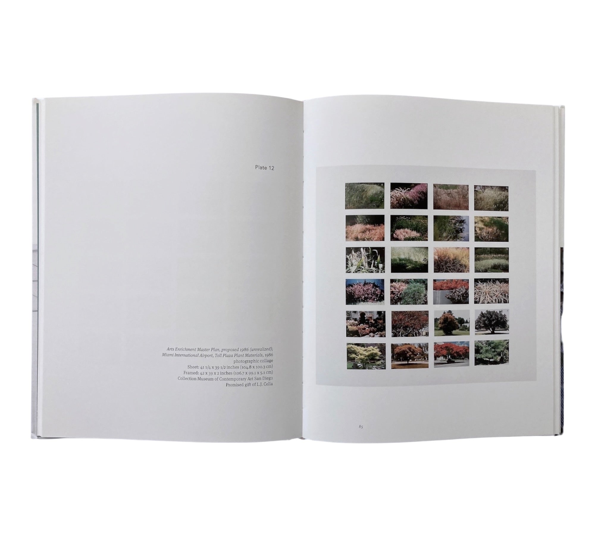 Robert Irwin: Site Determined (Rare edition) (Non-mint)