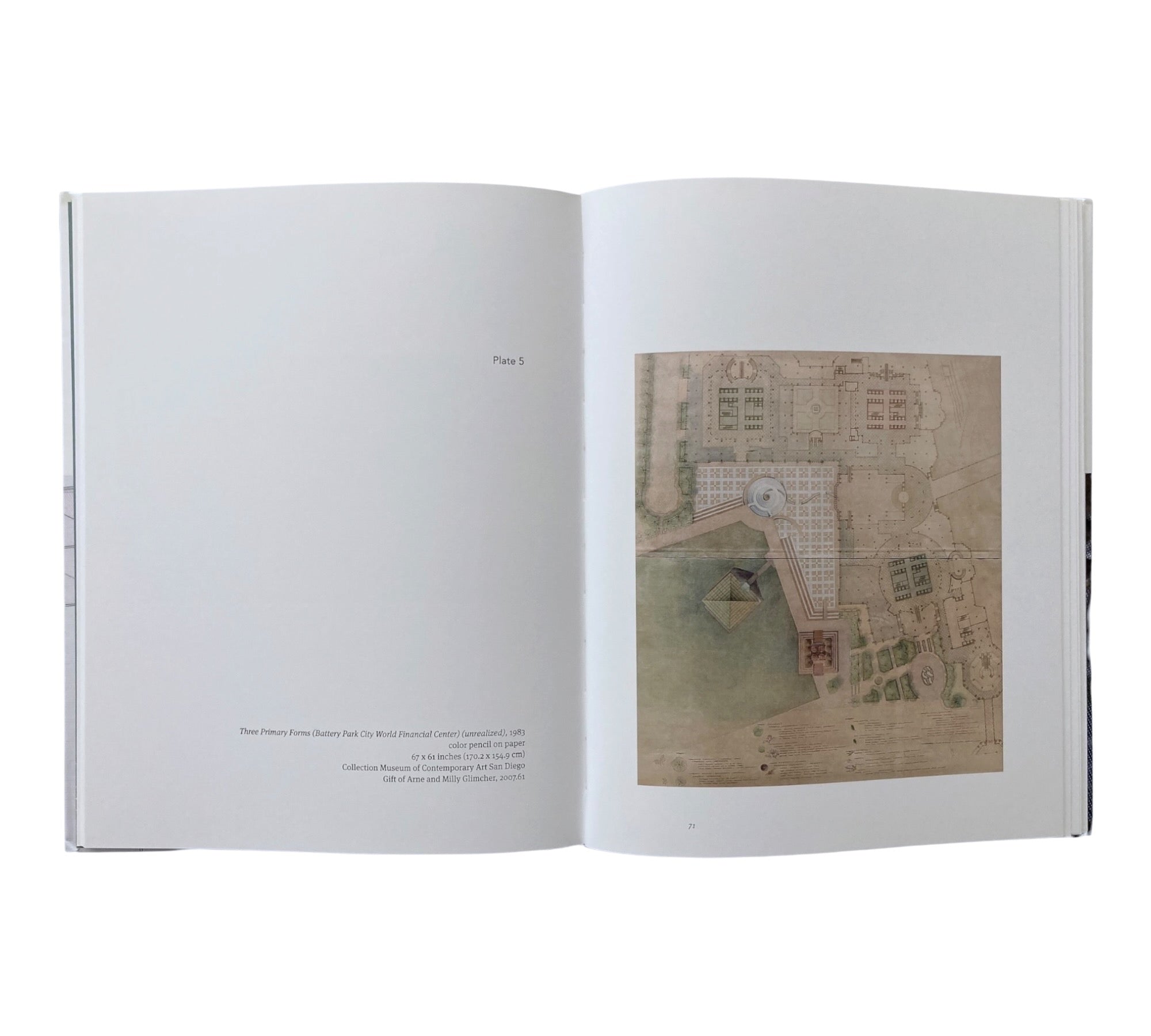 Robert Irwin: Site Determined (Rare edition) (Non-mint)