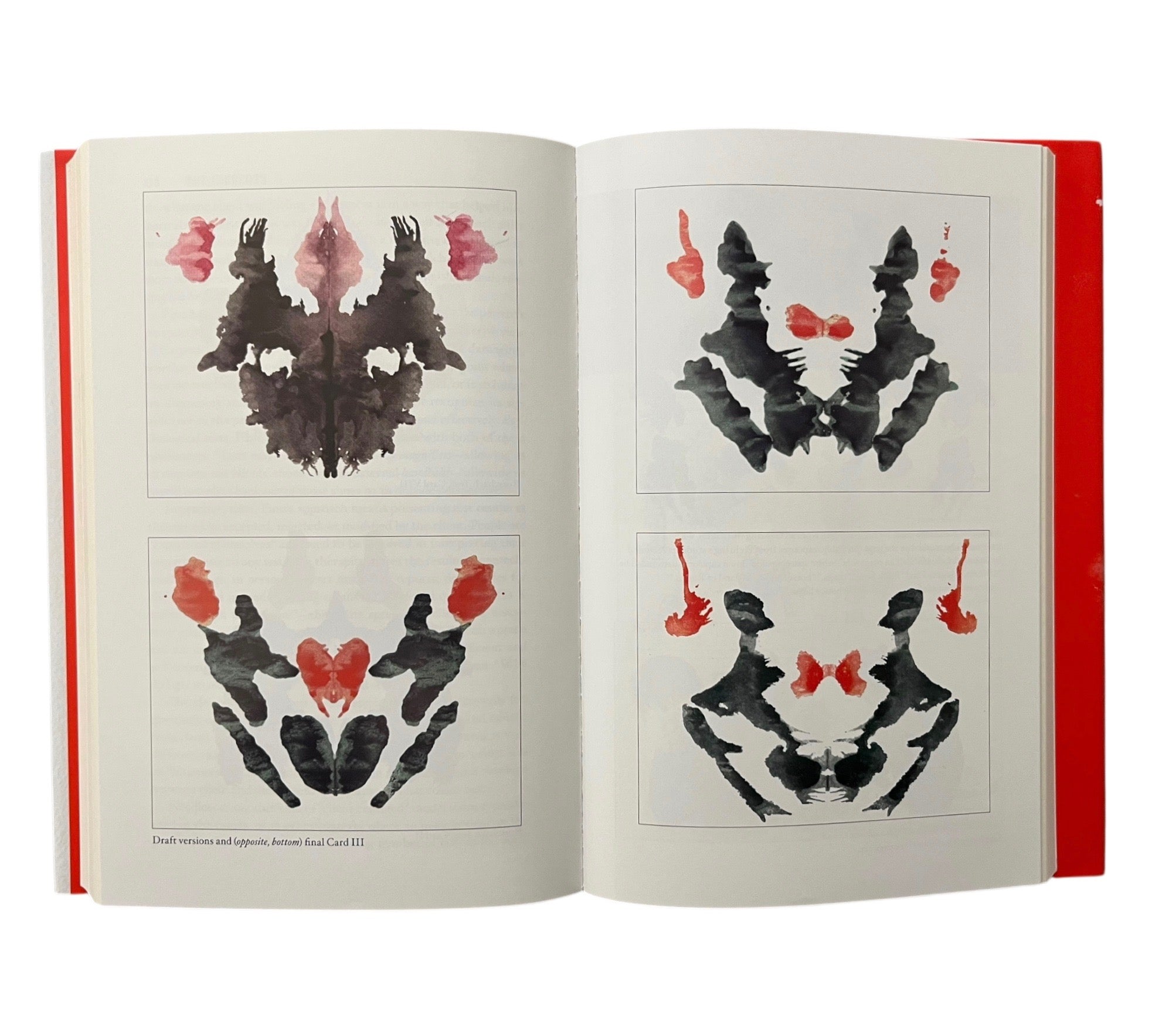 The Inkblots: Hermann Rorschach, His Iconic Test, & the Power of Seein ...
