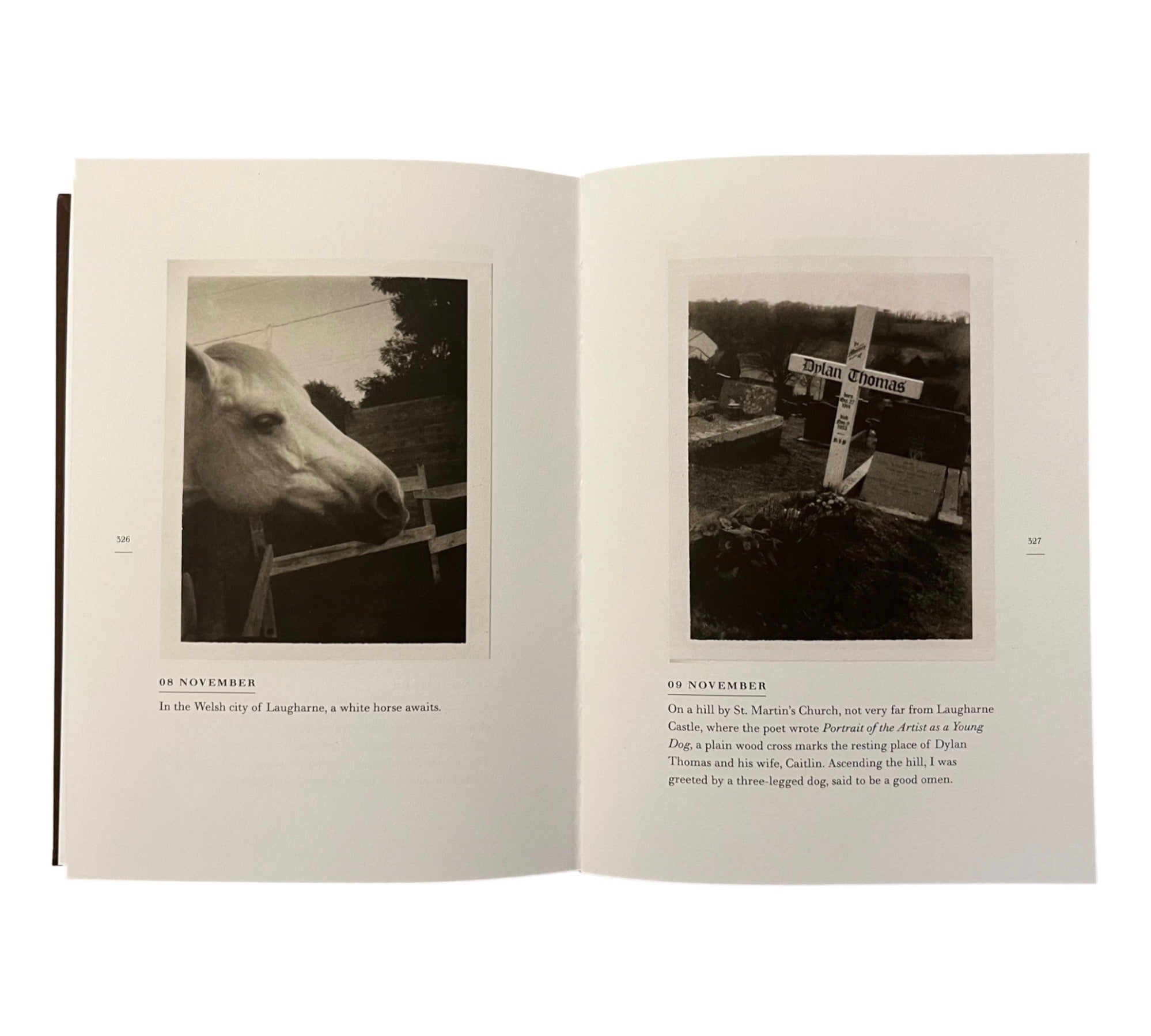 Patti Smith: A Book of Days
