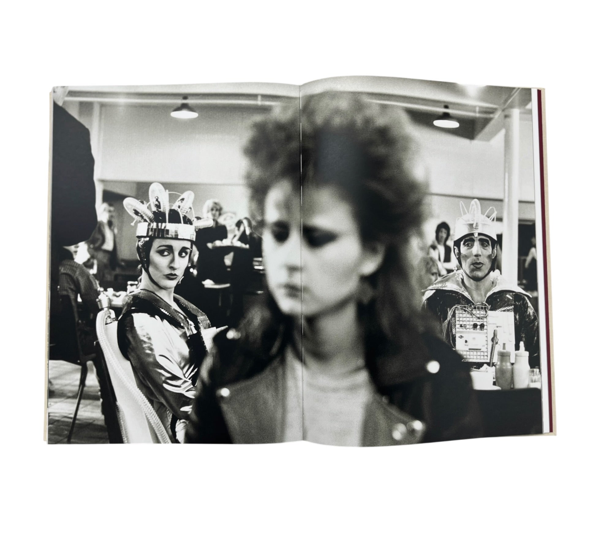 Linda McCartney: Life in Photographs - XXL Collectors edition including print (Trade sample)