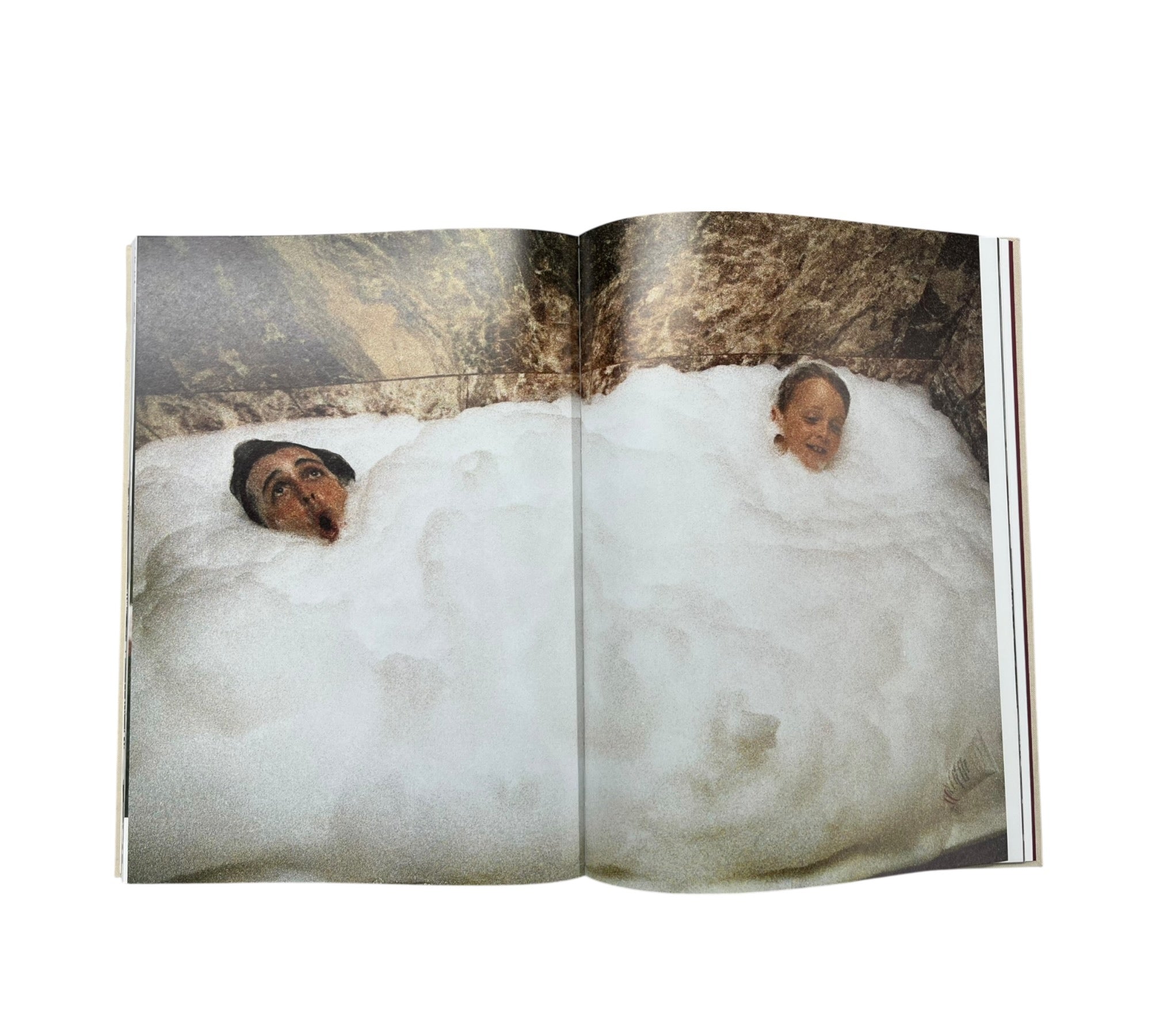 Linda McCartney: Life in Photographs - XXL Collectors edition including print (Trade sample)