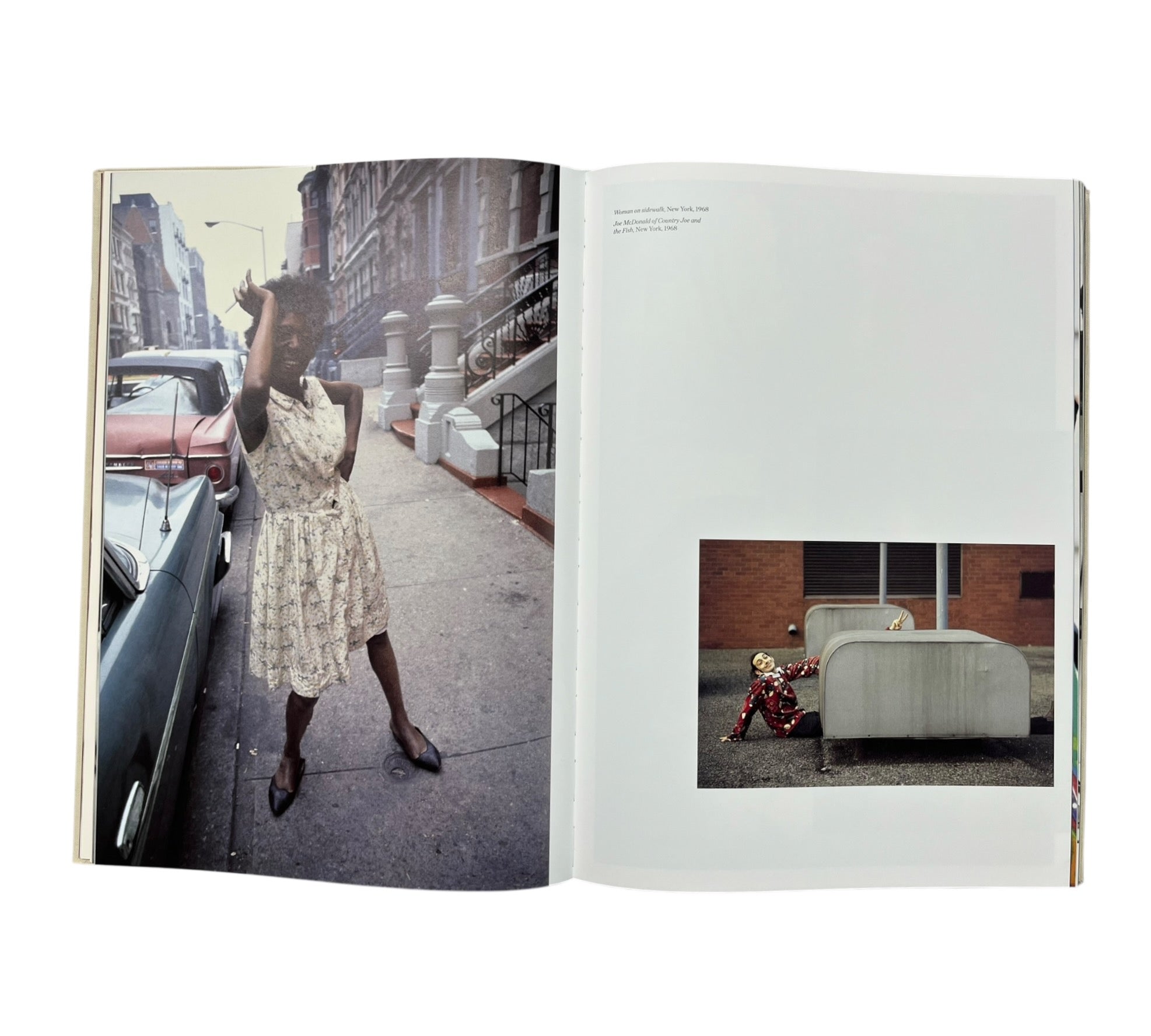 Linda McCartney: Life in Photographs - XXL Collectors edition including print (Trade sample)