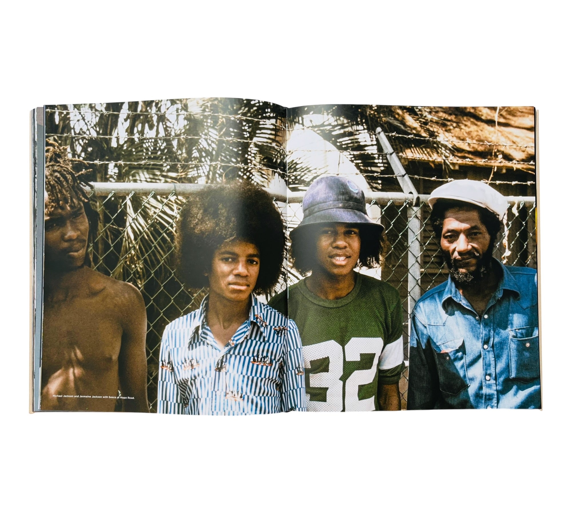 Hit Me With Music: Roots, Rock, Reggae
