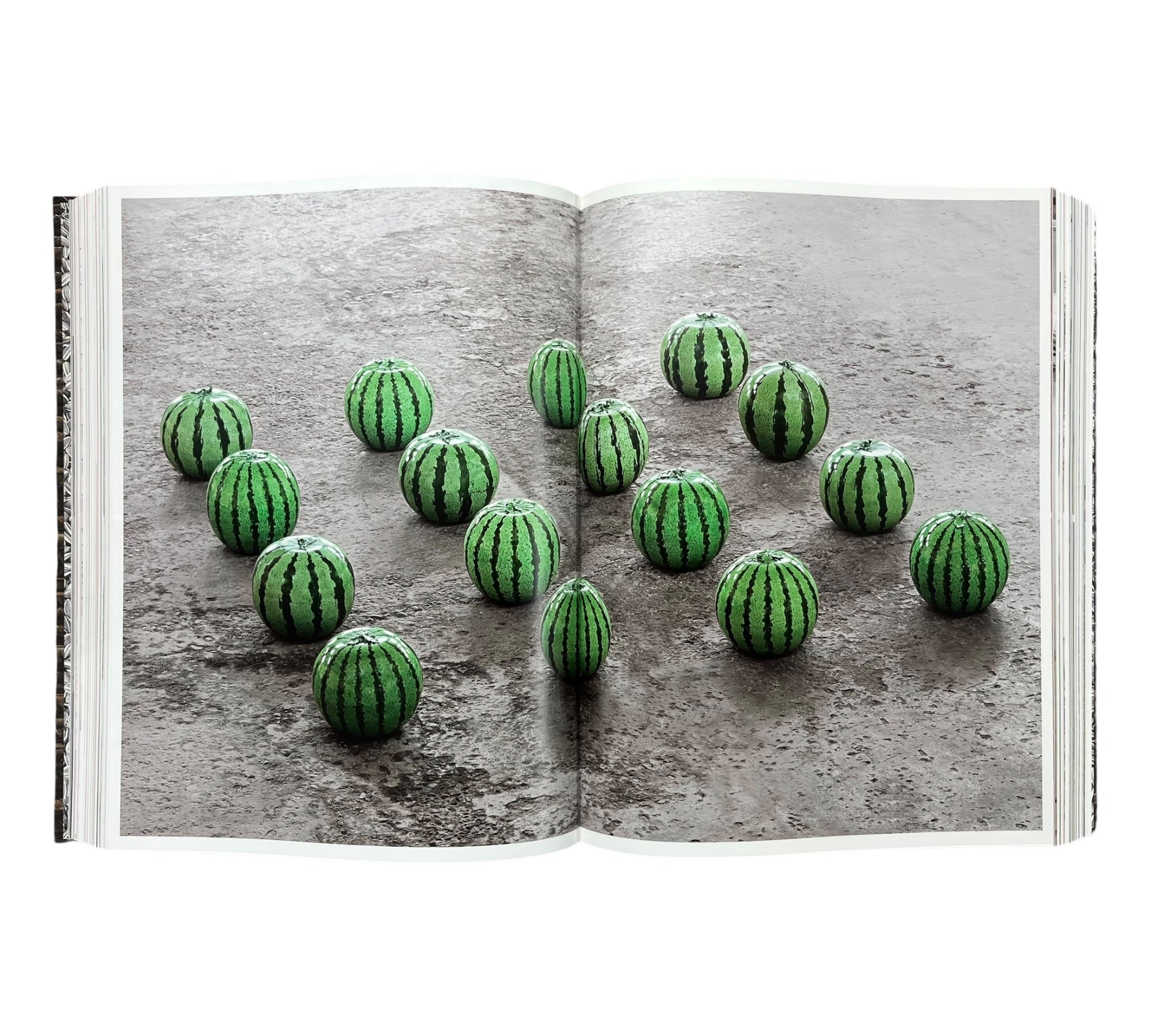 Ai Weiwei - XXL Collectors edition (Trade sample)