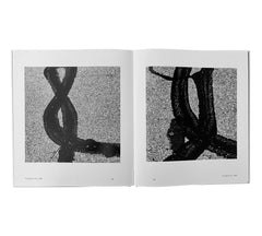 Aaron Siskind: The Fragmentation of Language