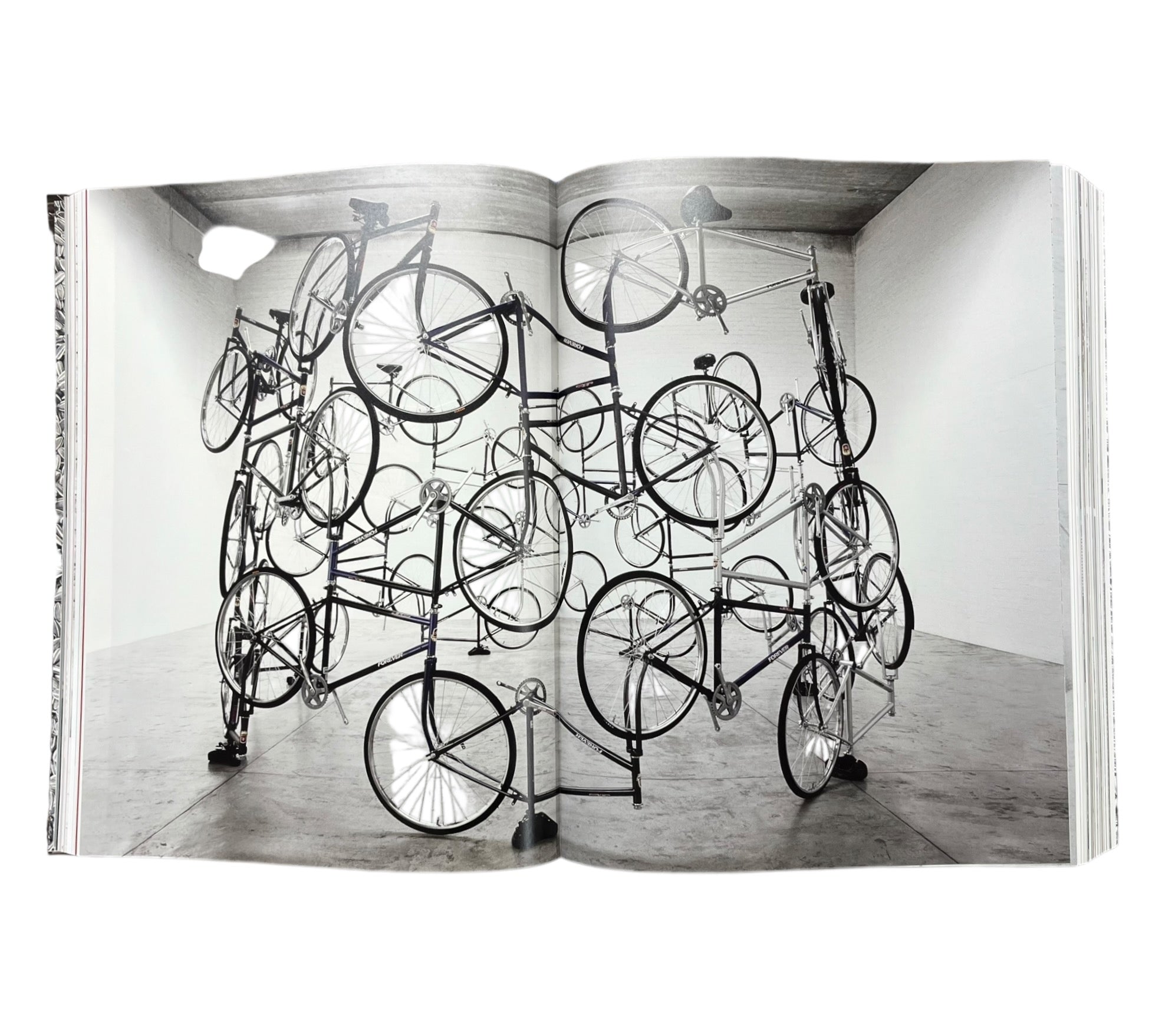 Ai Weiwei - XXL Collectors edition (Trade sample)