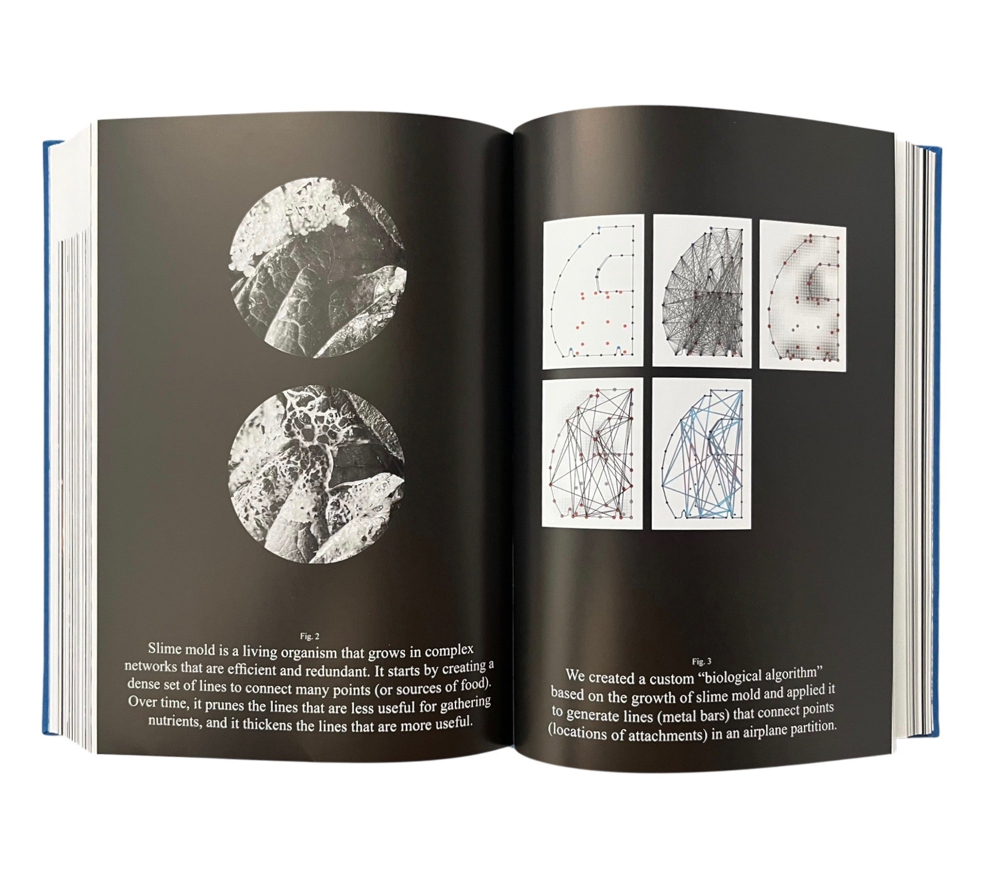 Now We See Now: Architecture and Research by The Living