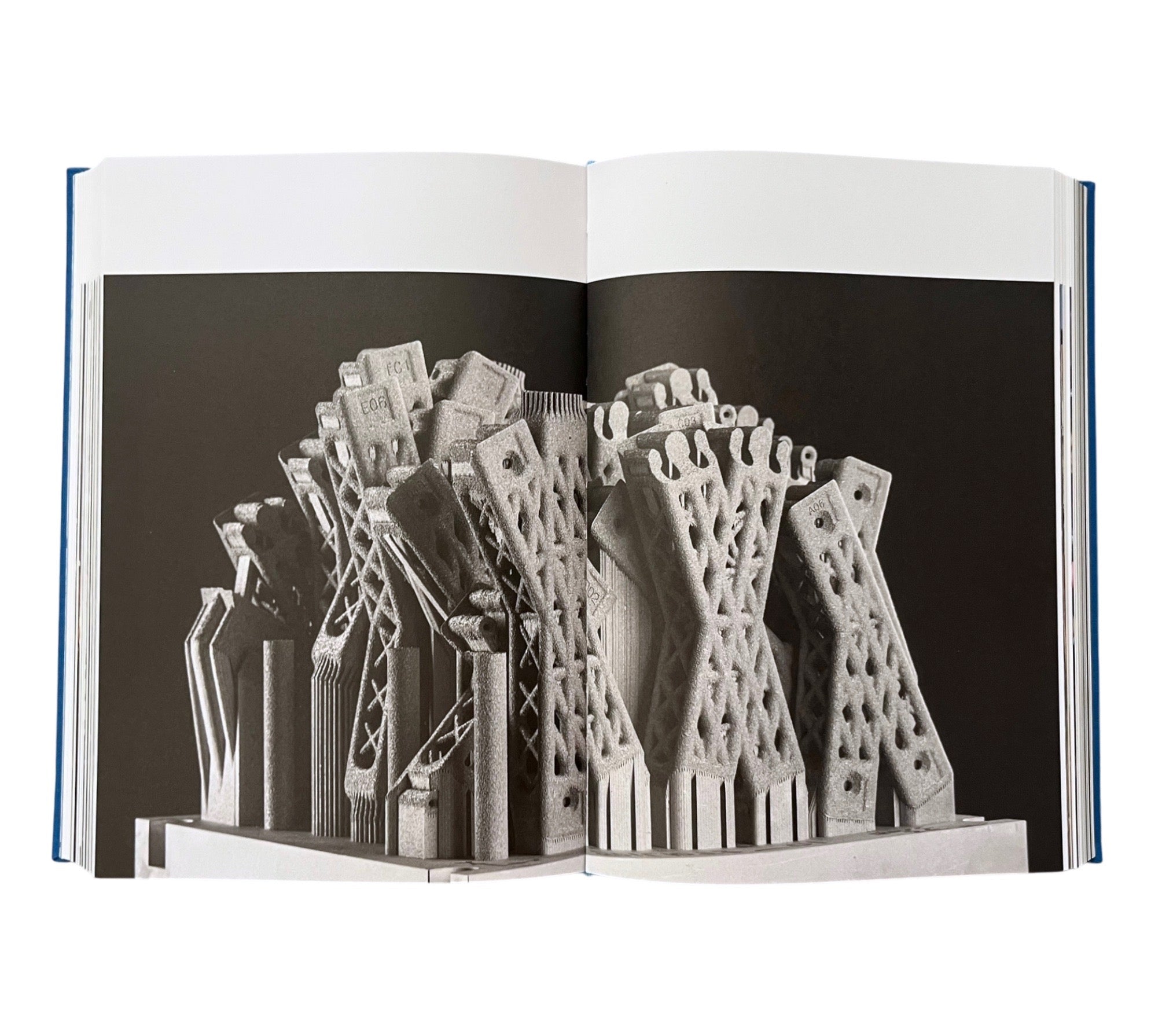 Now We See Now: Architecture and Research by The Living