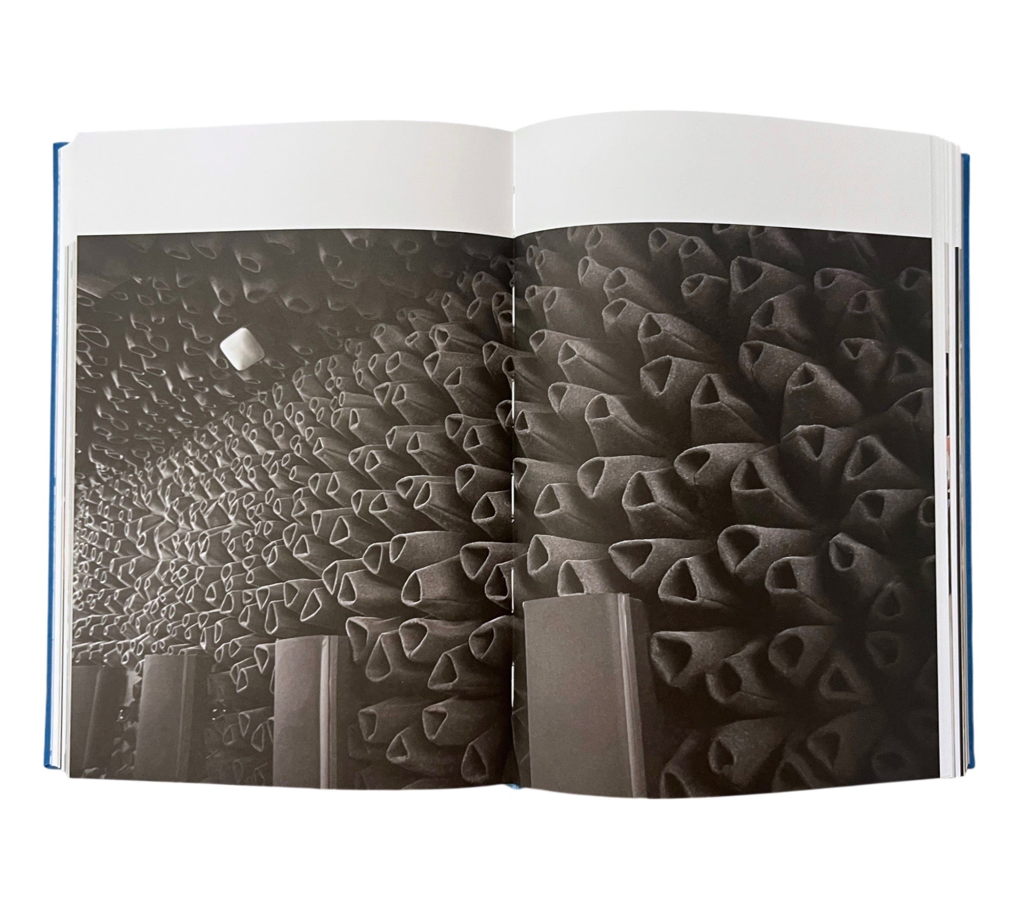 Now We See Now: Architecture and Research by The Living