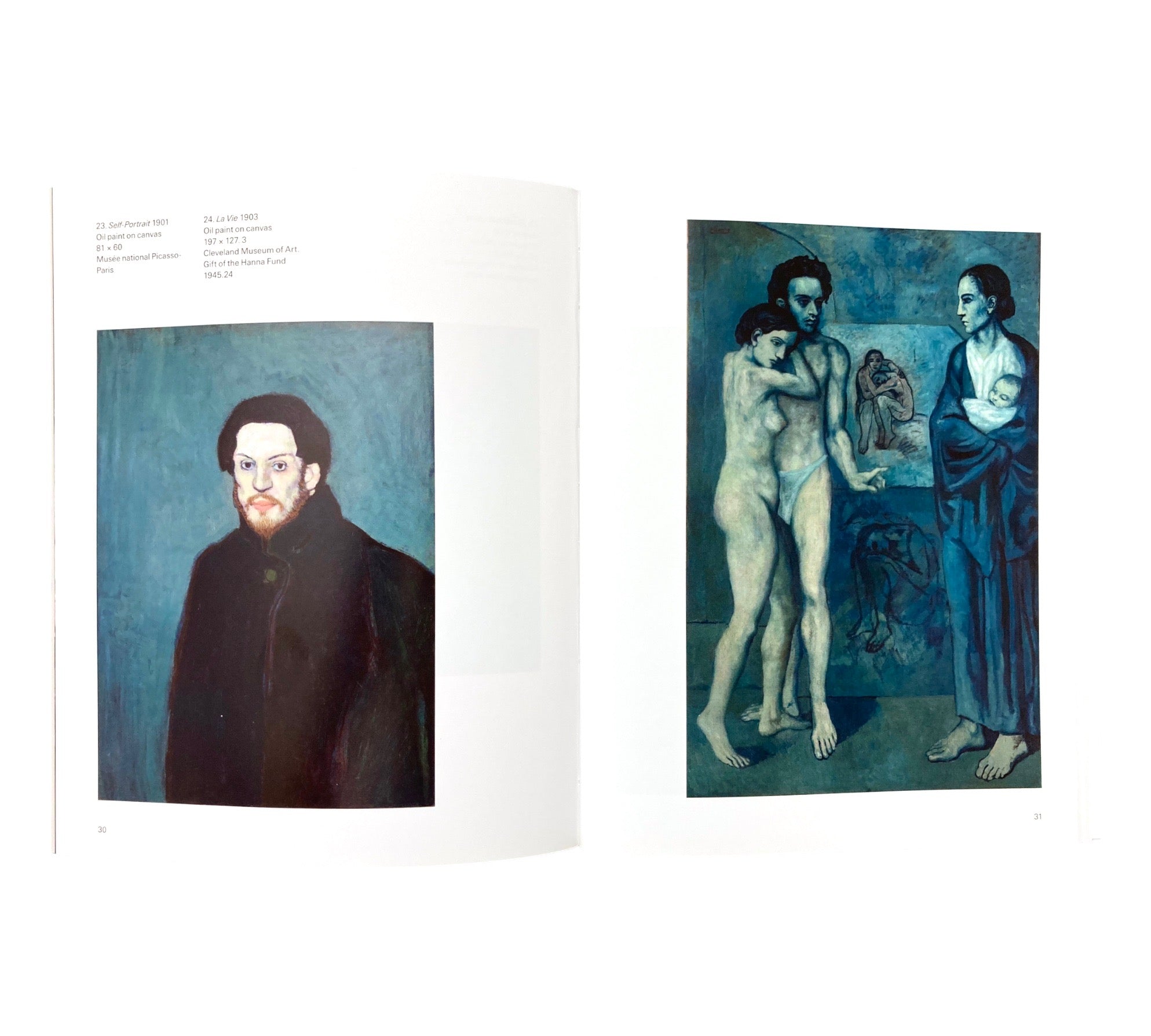 Picasso (Tate Introductions)